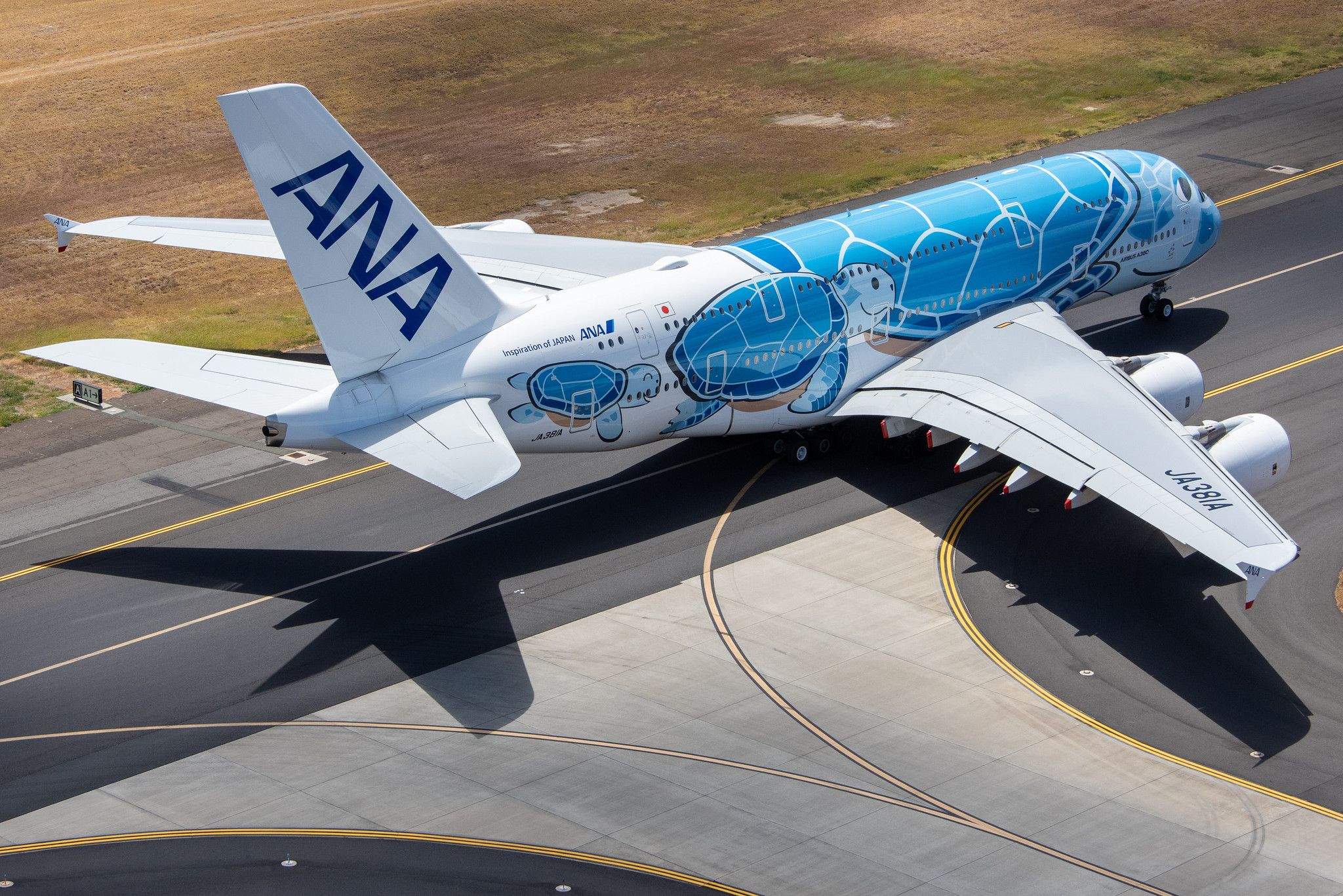 ANA's 'Flying Honu' Airbus A380 Is Heading Back To Hawaii