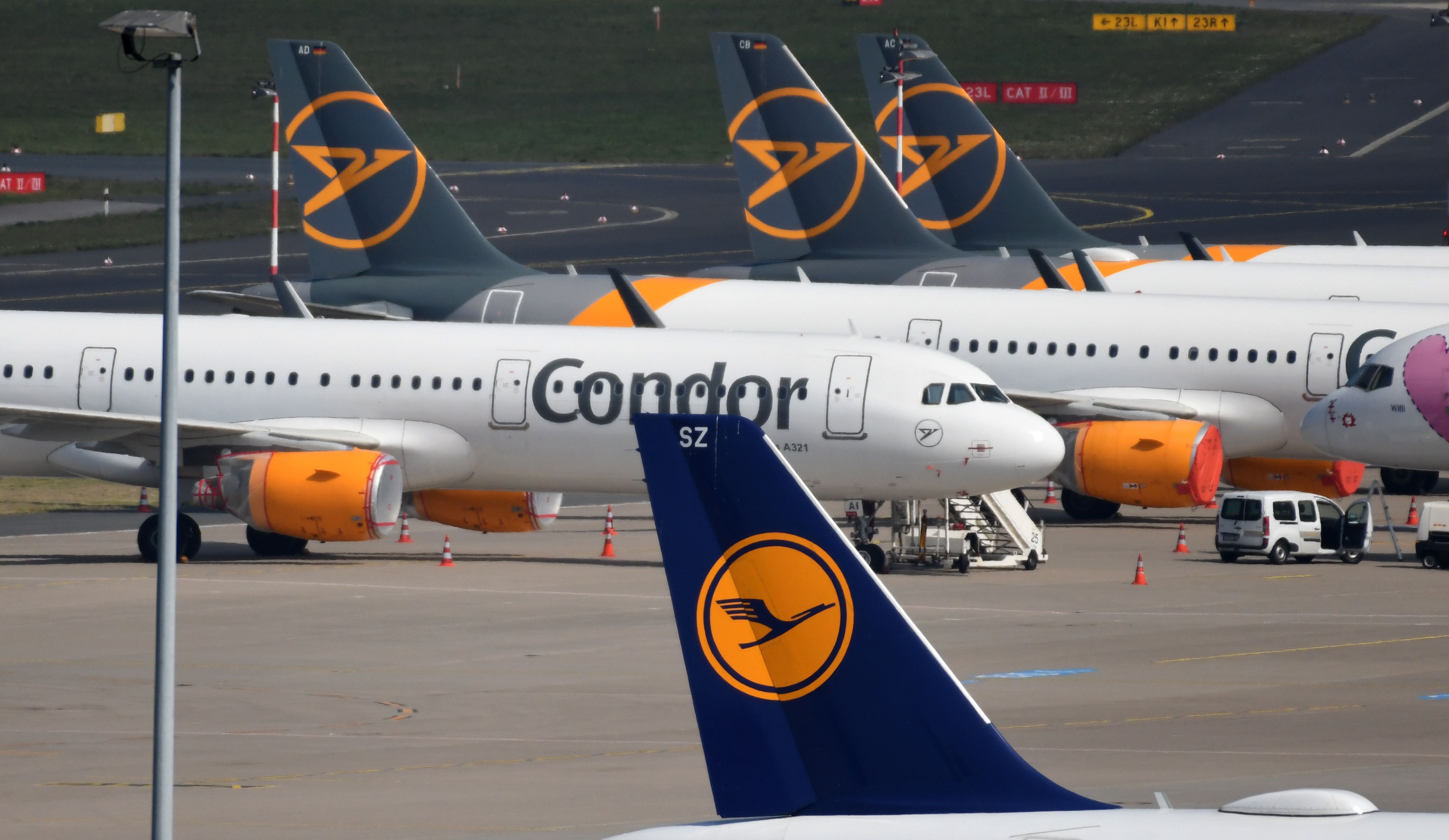 Condor and Lufthansa planes parked on apron