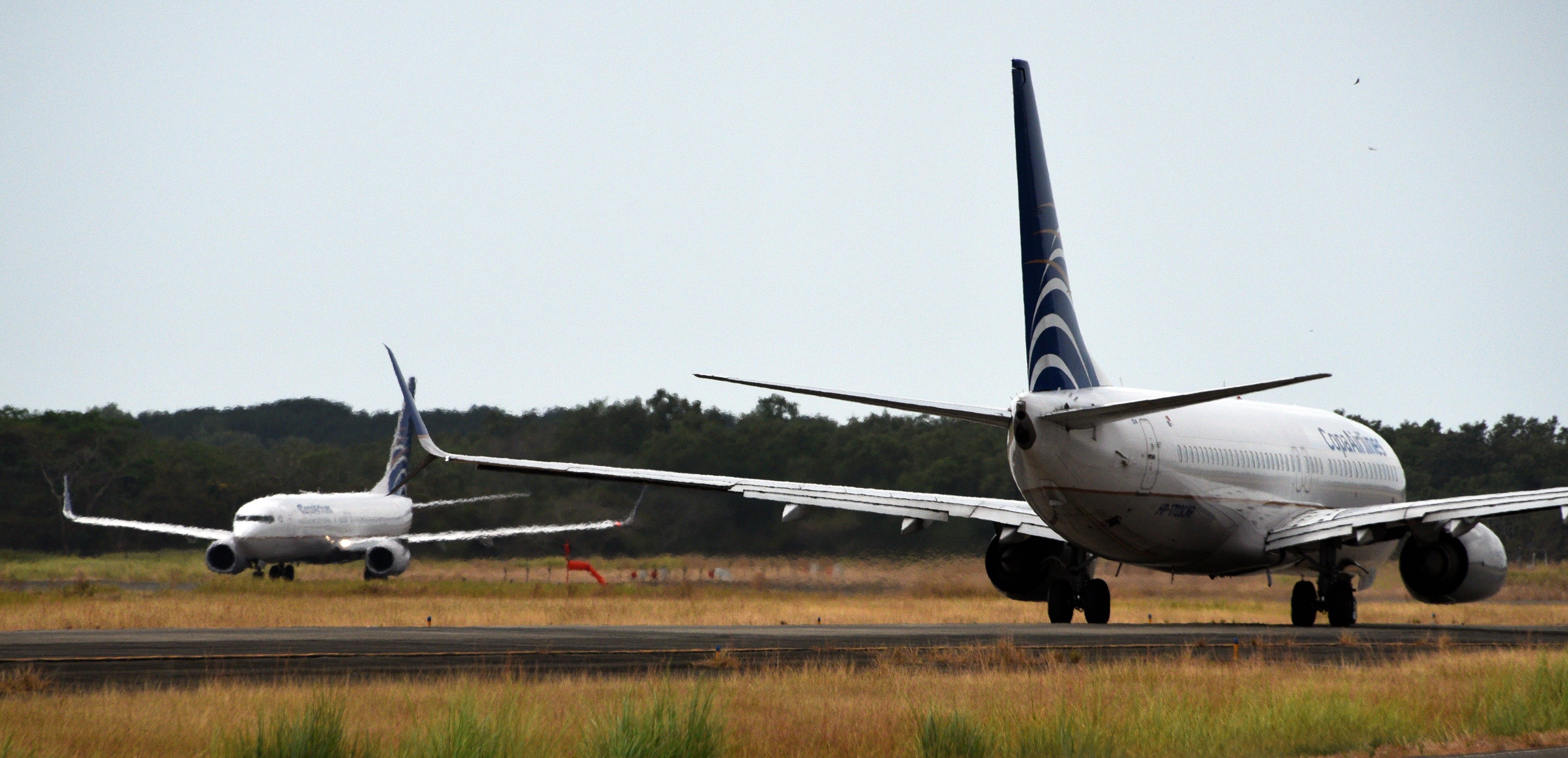 Two Copa Airlines aircraft