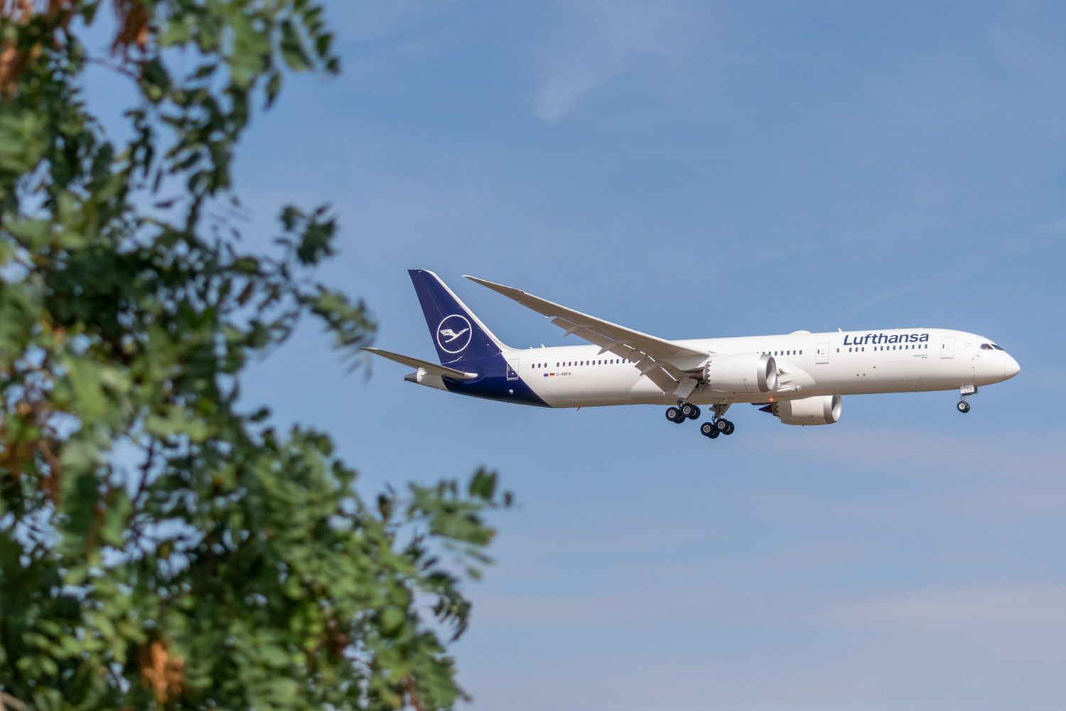 Lufthansa Boeing 787-9 Landing In Frankfurt