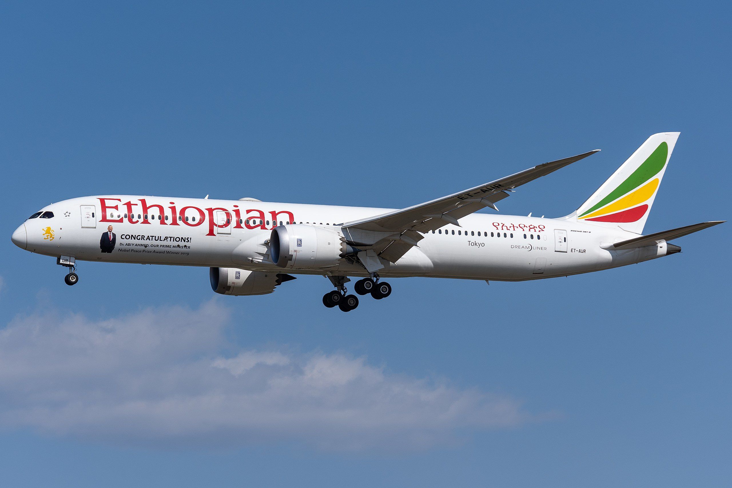 Ethiopian Airlines 787 landing