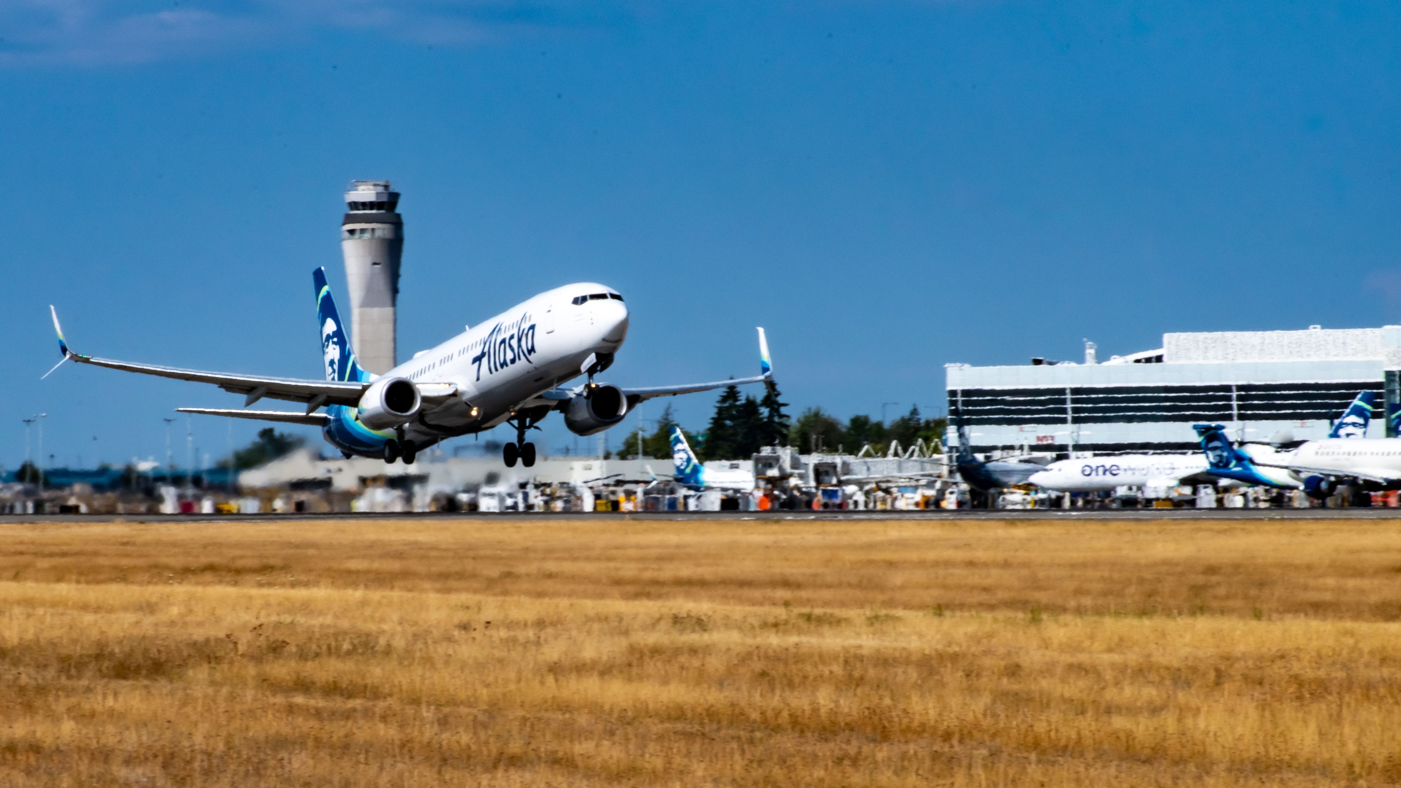 Alaska Airlines 737-900ER Lifting Off from Seattle-Tacoma International