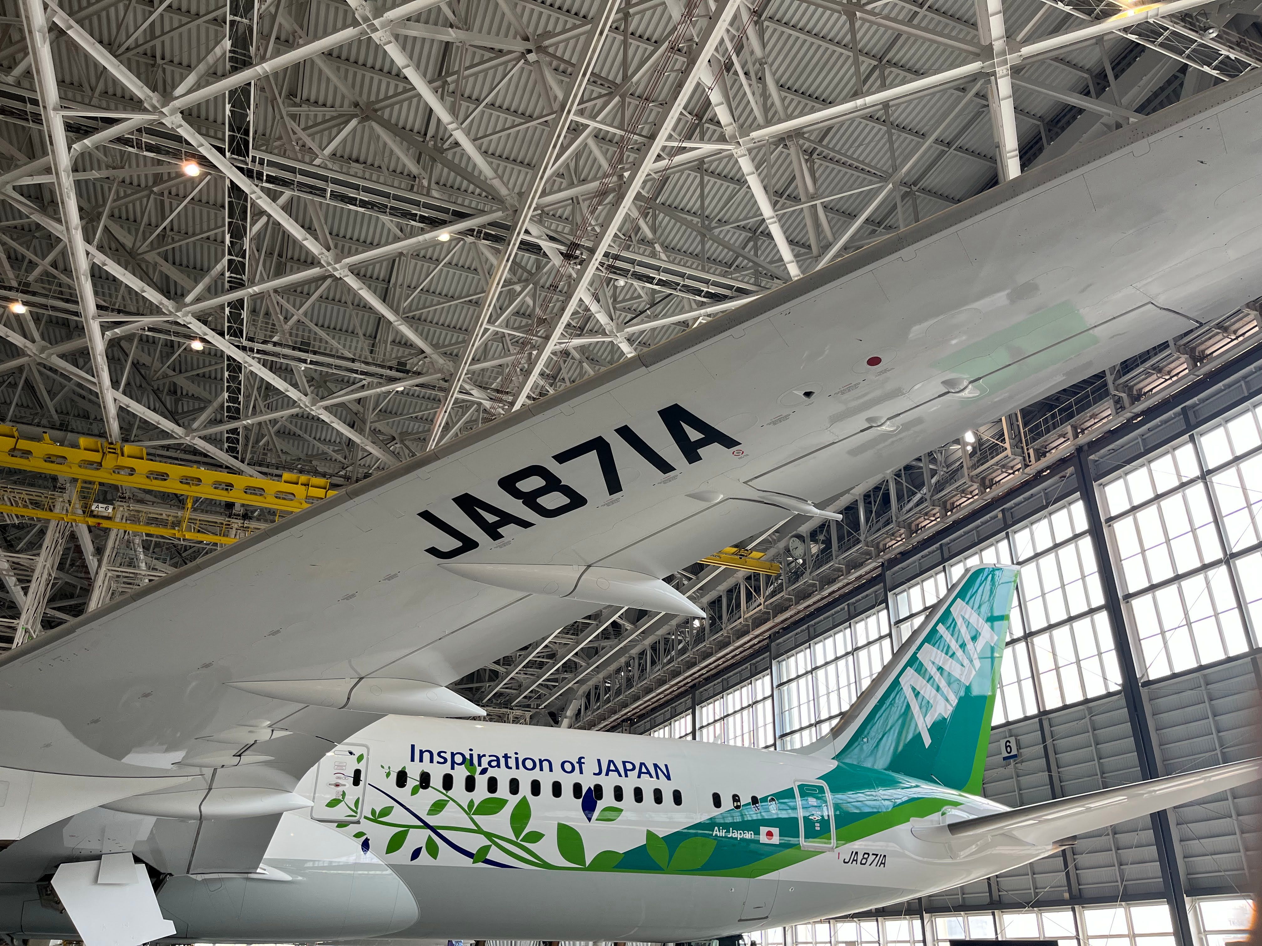 ANA Green jet in hangar