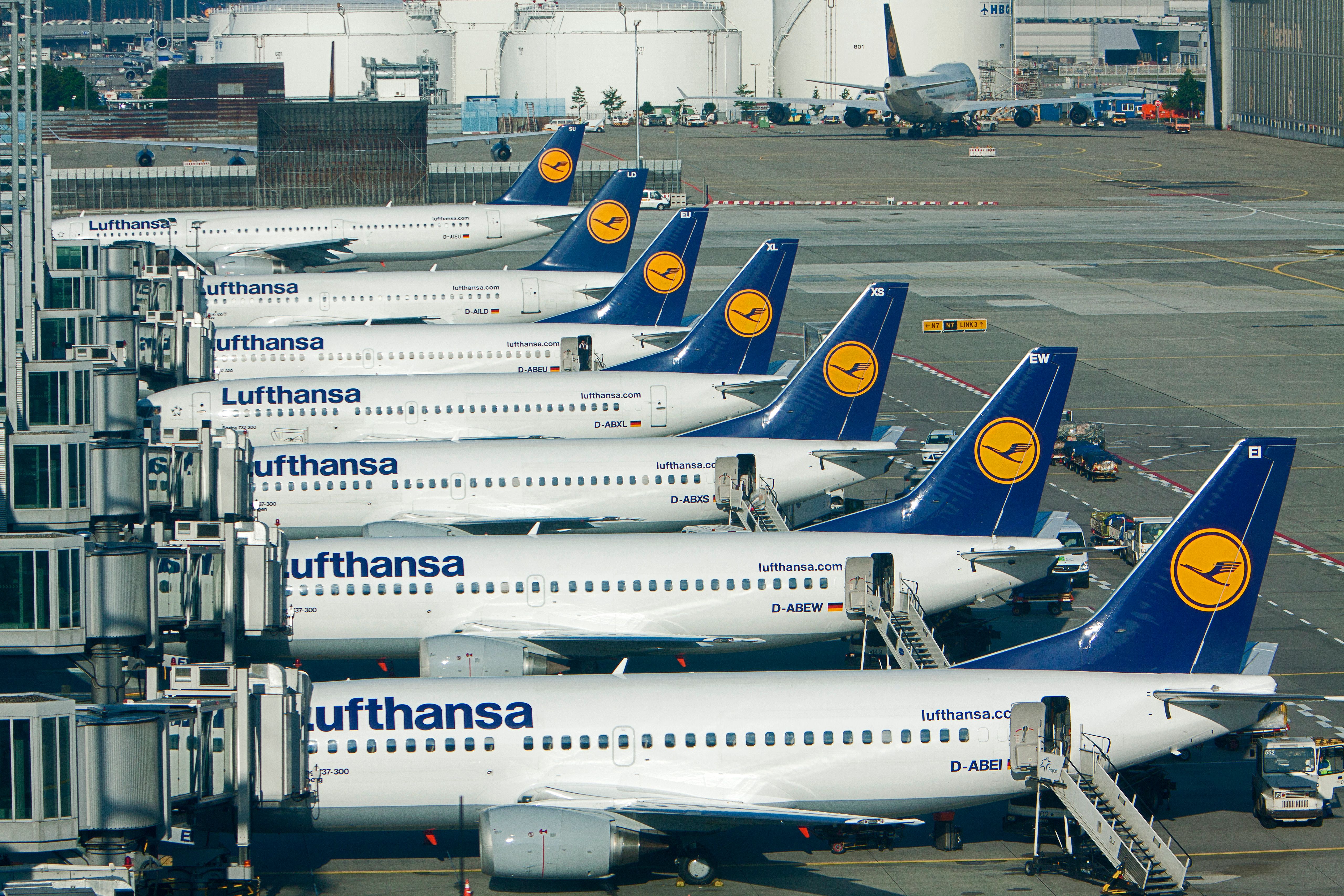 Lufthansa jets Frankfurt Airport