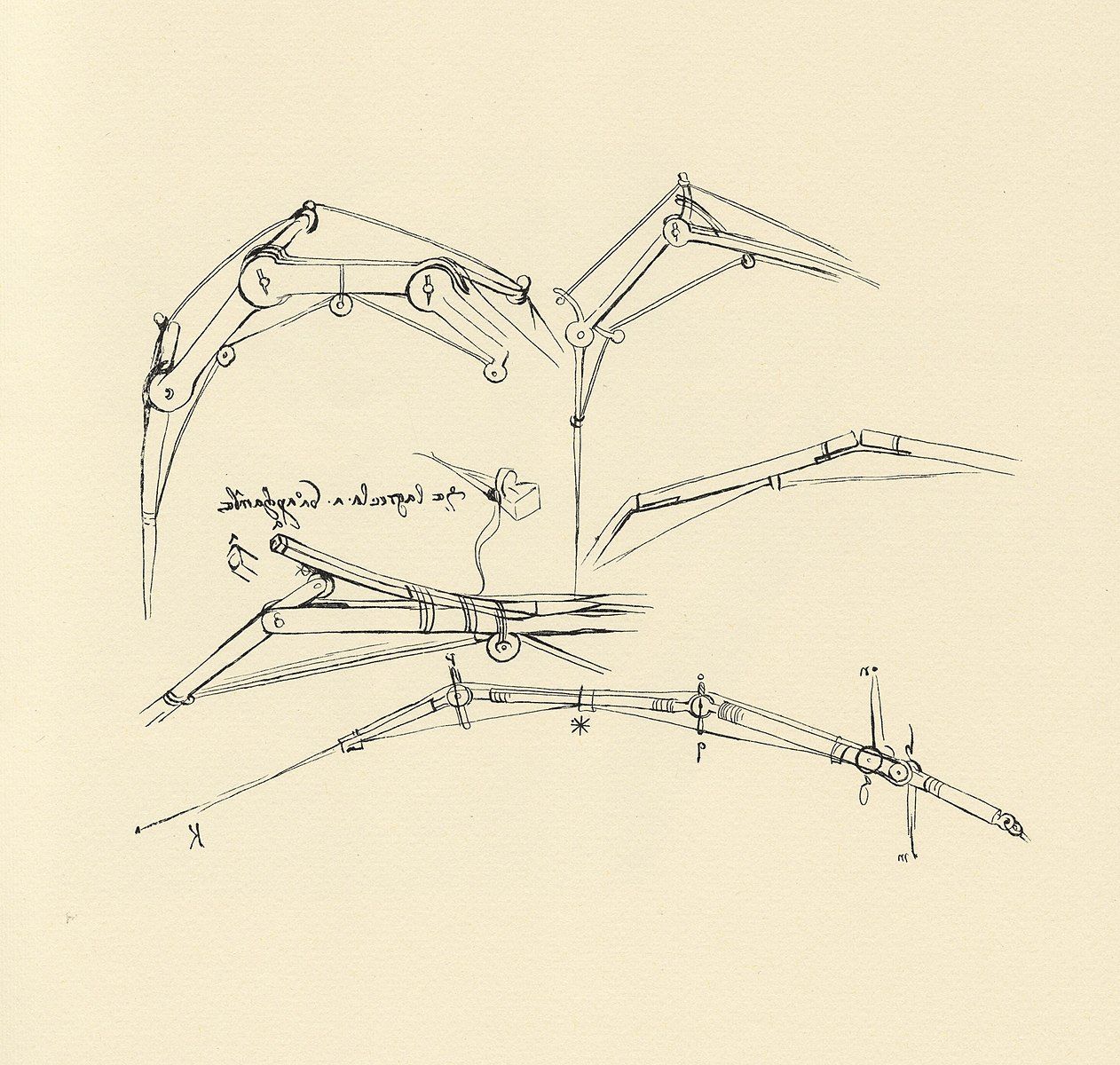 Leonardo da Vincis Diagram of a proposed flying machine