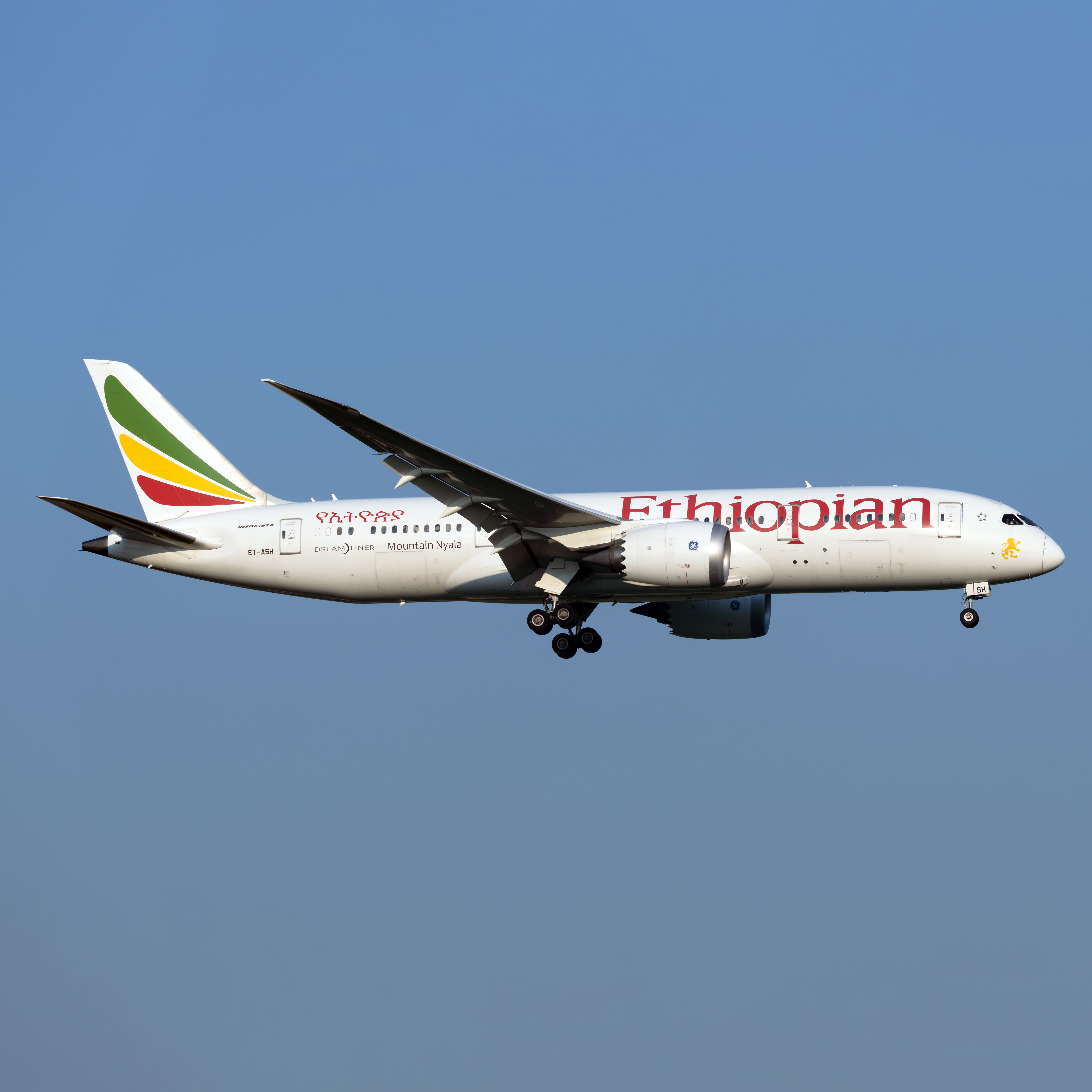 Ethiopan Airlines Boeing 787-8 Dreamliner on approach.
