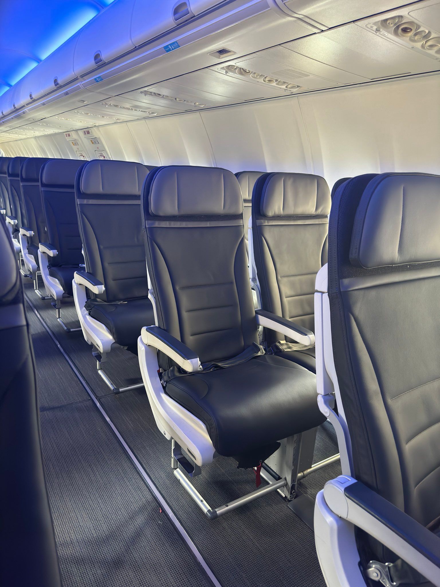 Rows of Recaro BL3530 high literature pocket coach seats