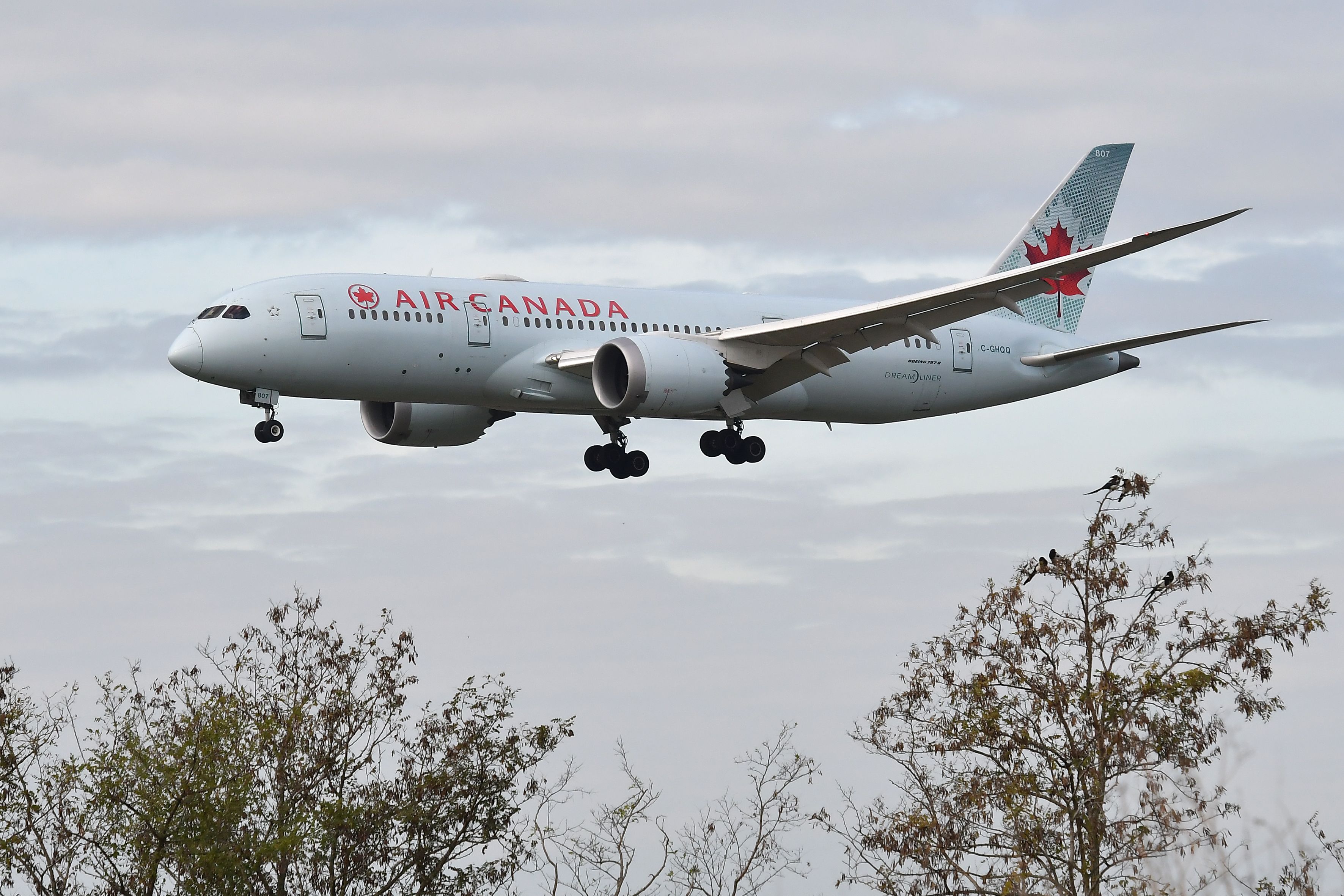 Air Canada Boeing 787 Dreamliner