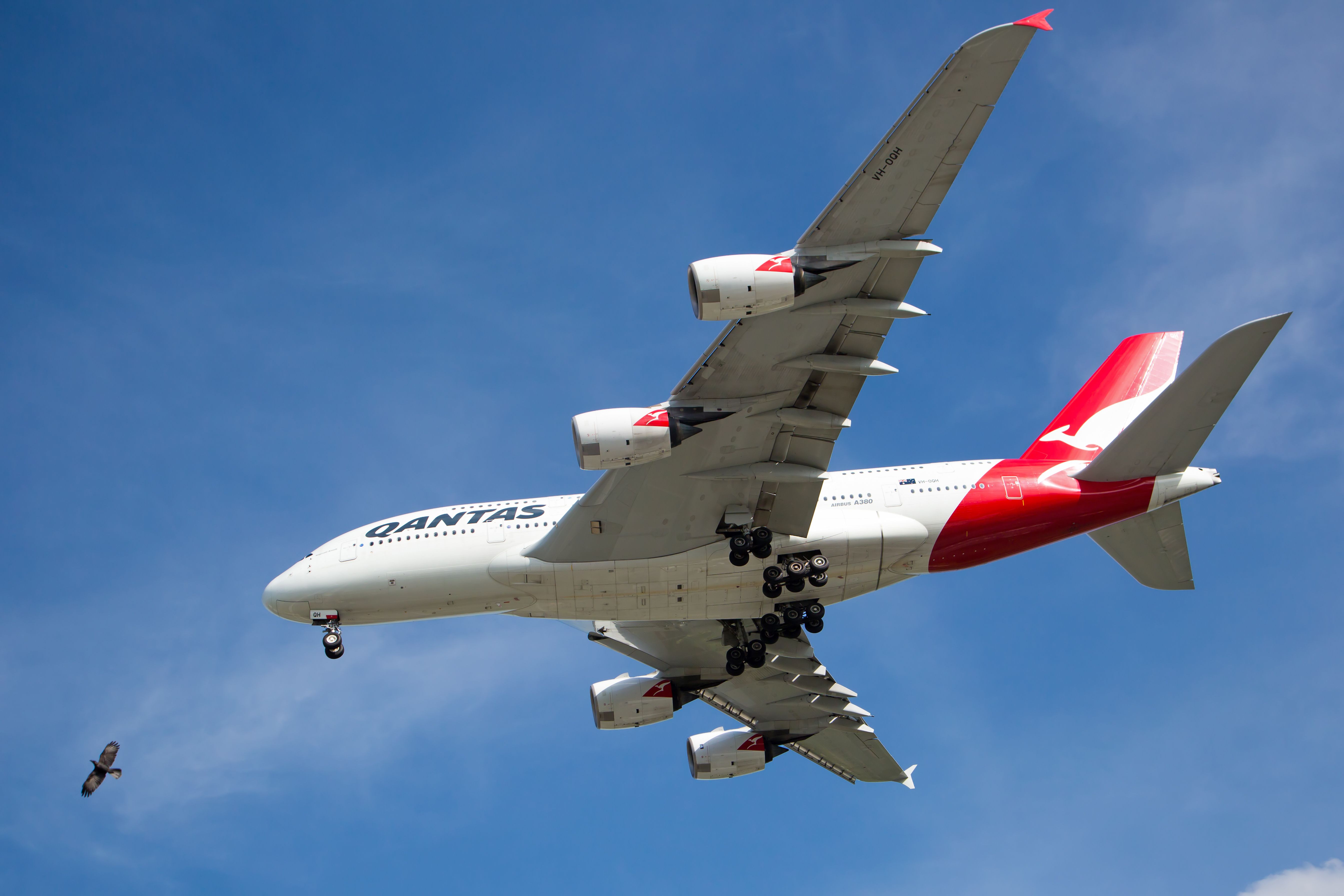 Qantas Airbus A380 VH-OQH seen from below landing in Singapore