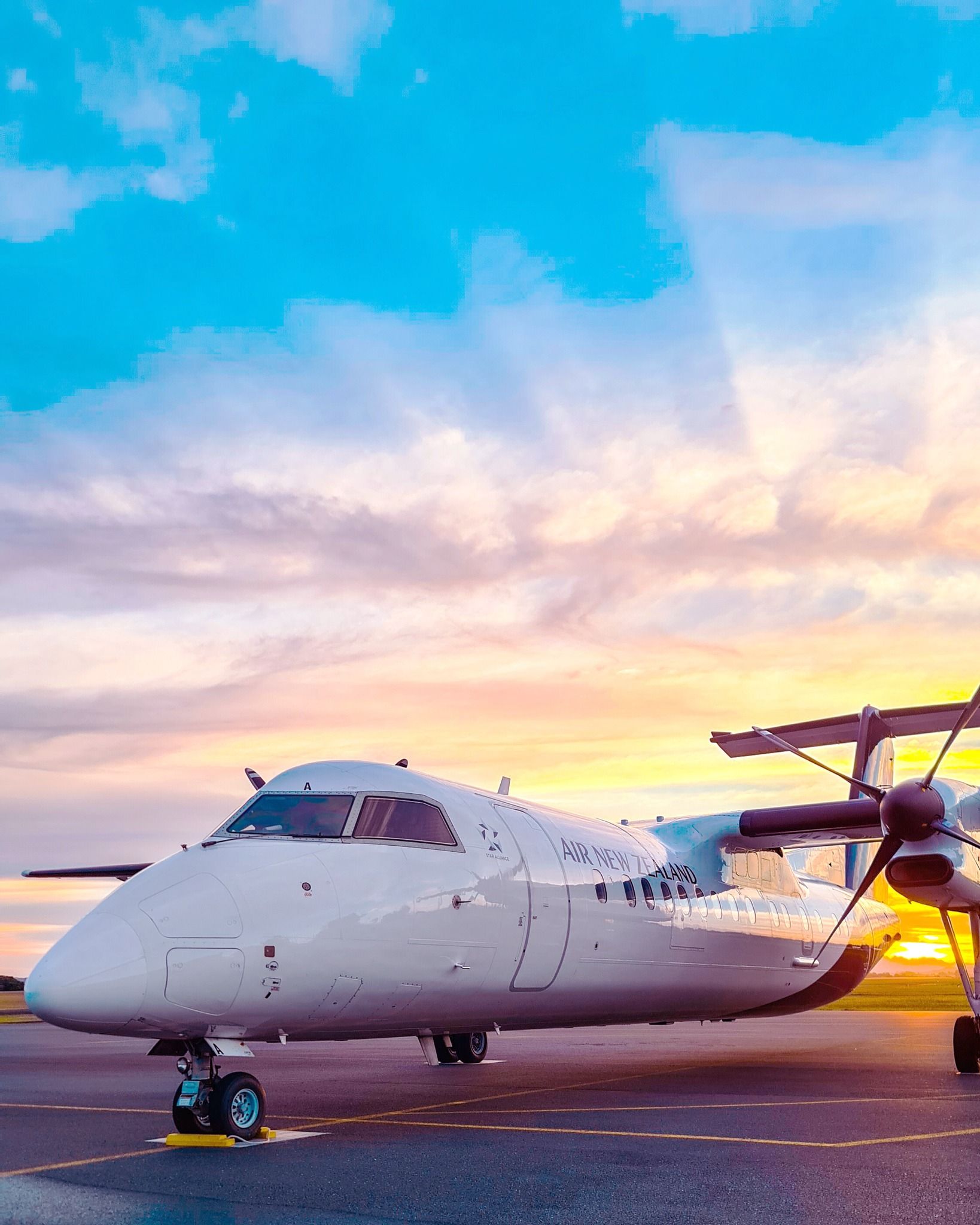 Auckland Airport has been plagued with baggage issues all summer