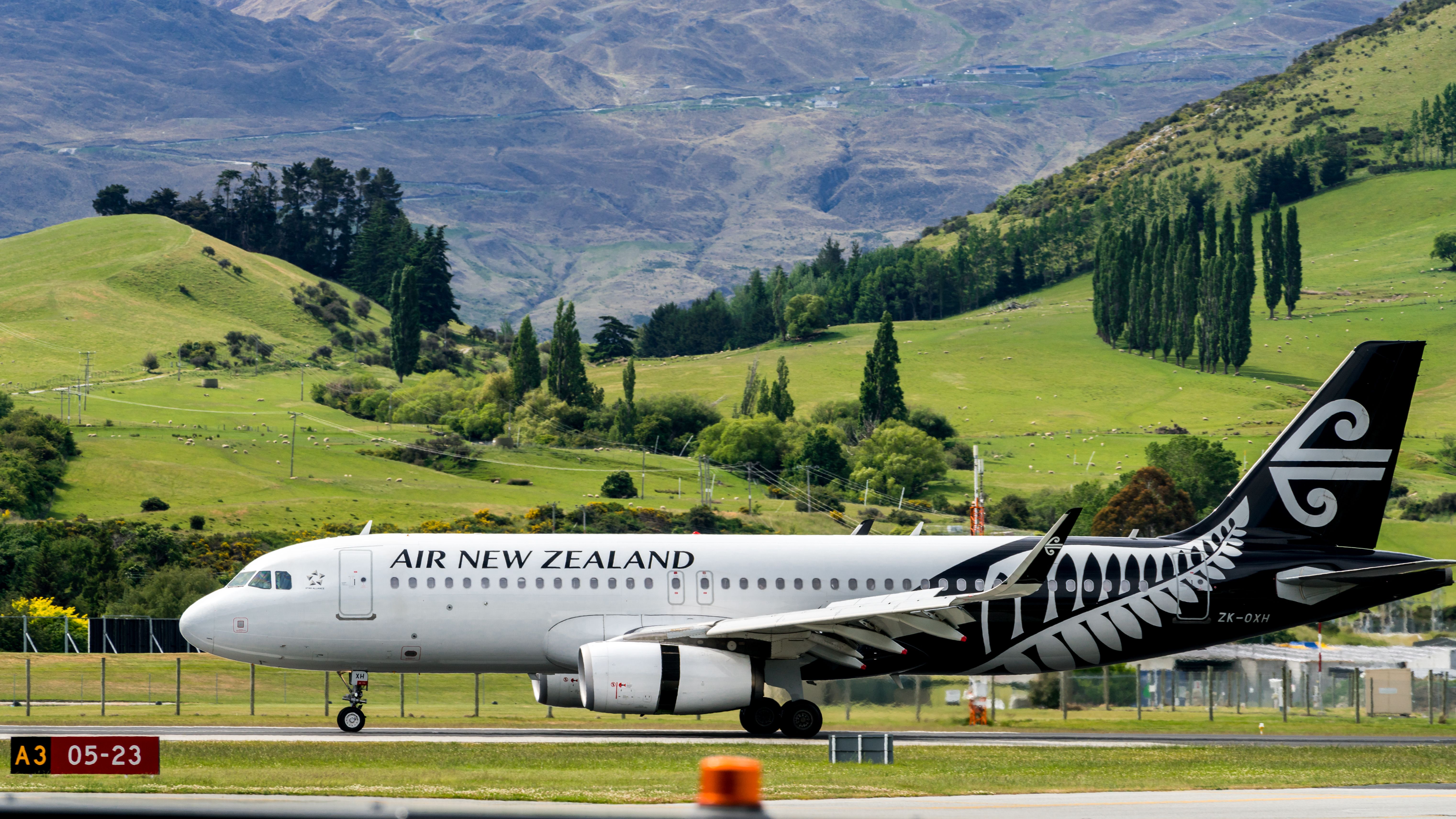 Air NZ is dealing with a backlog of baggage