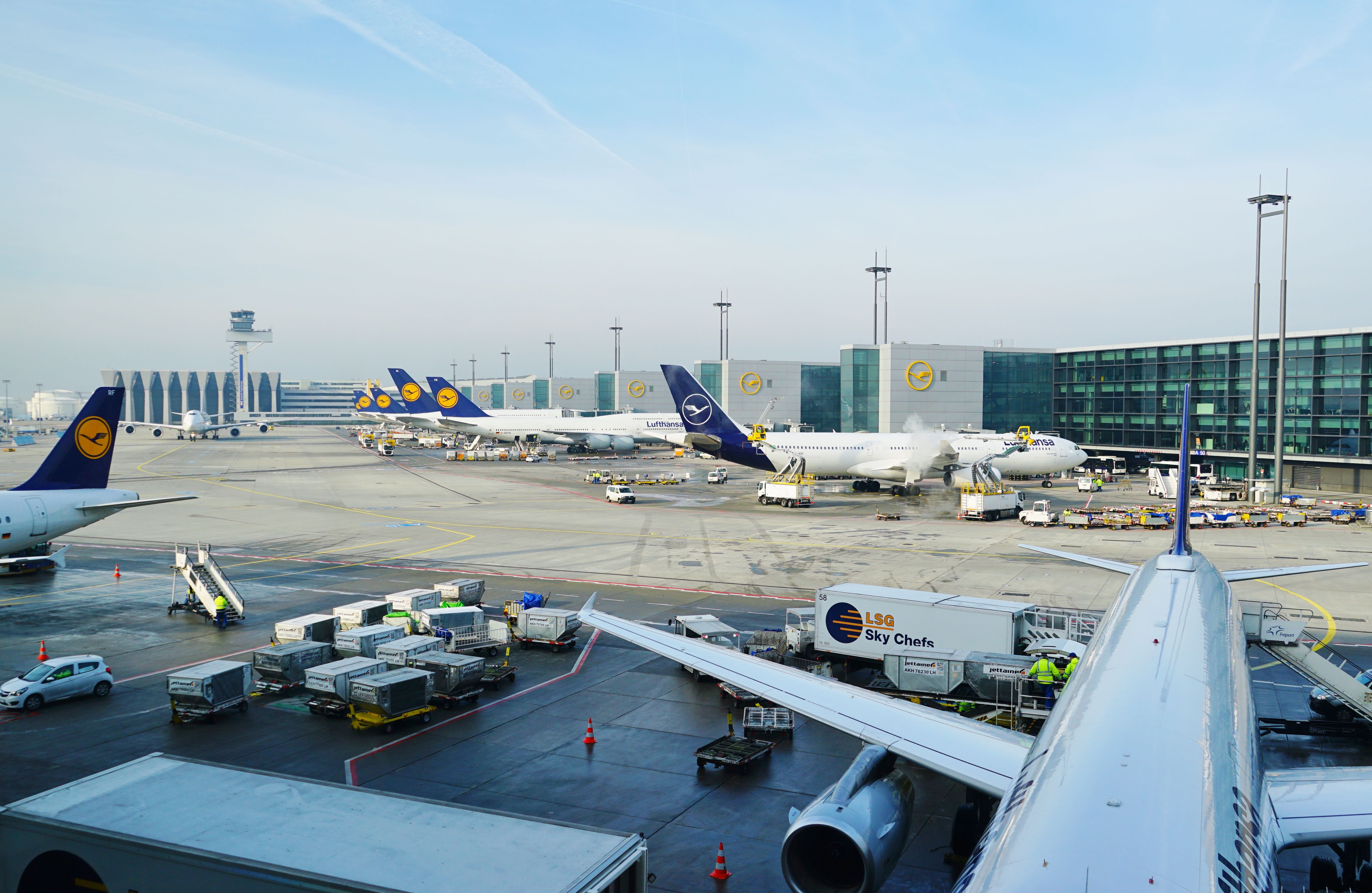 A busy Lufthansa terminal at Frankfurt Airport.