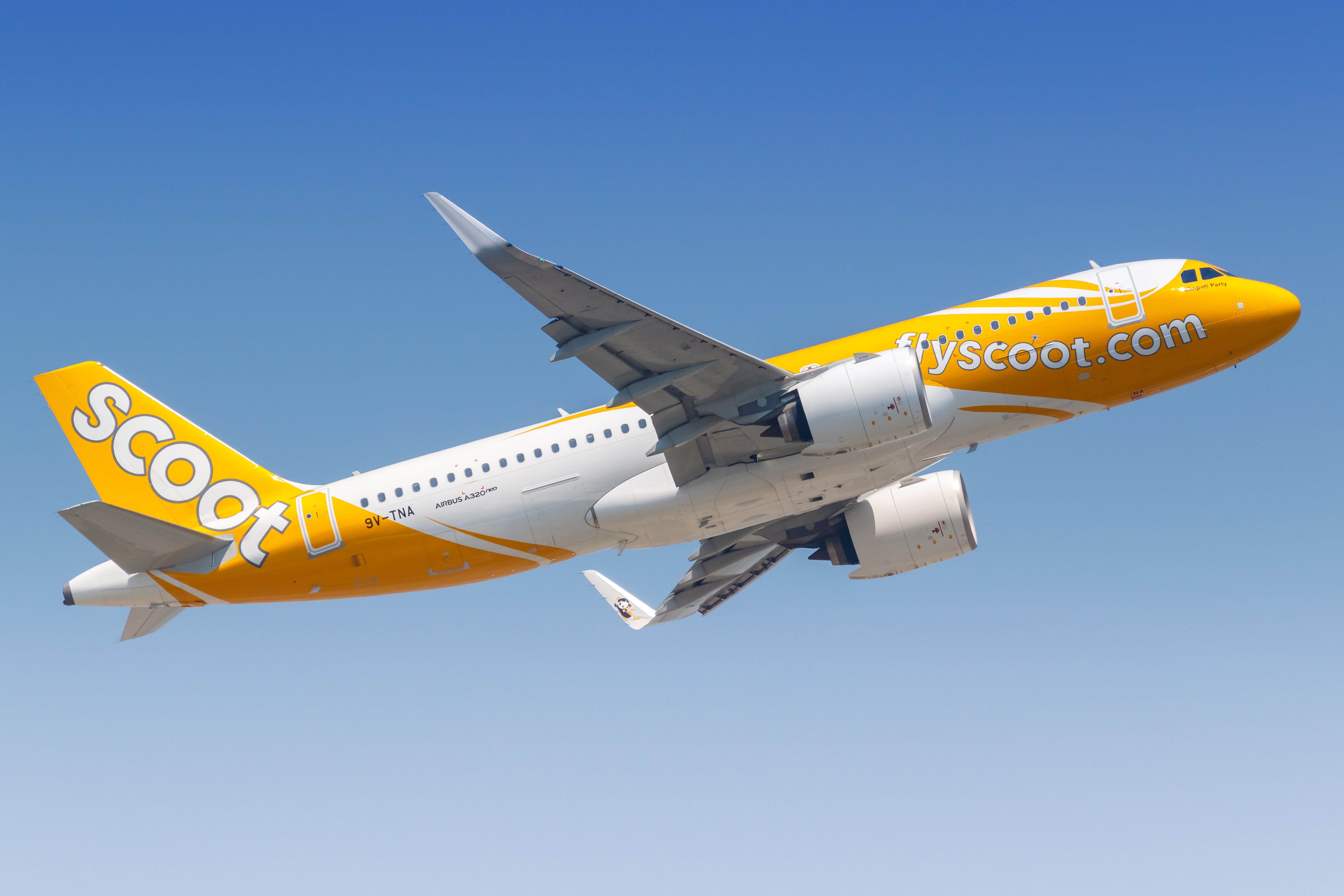 A Scoot Airbus A320neo flying in the sky.