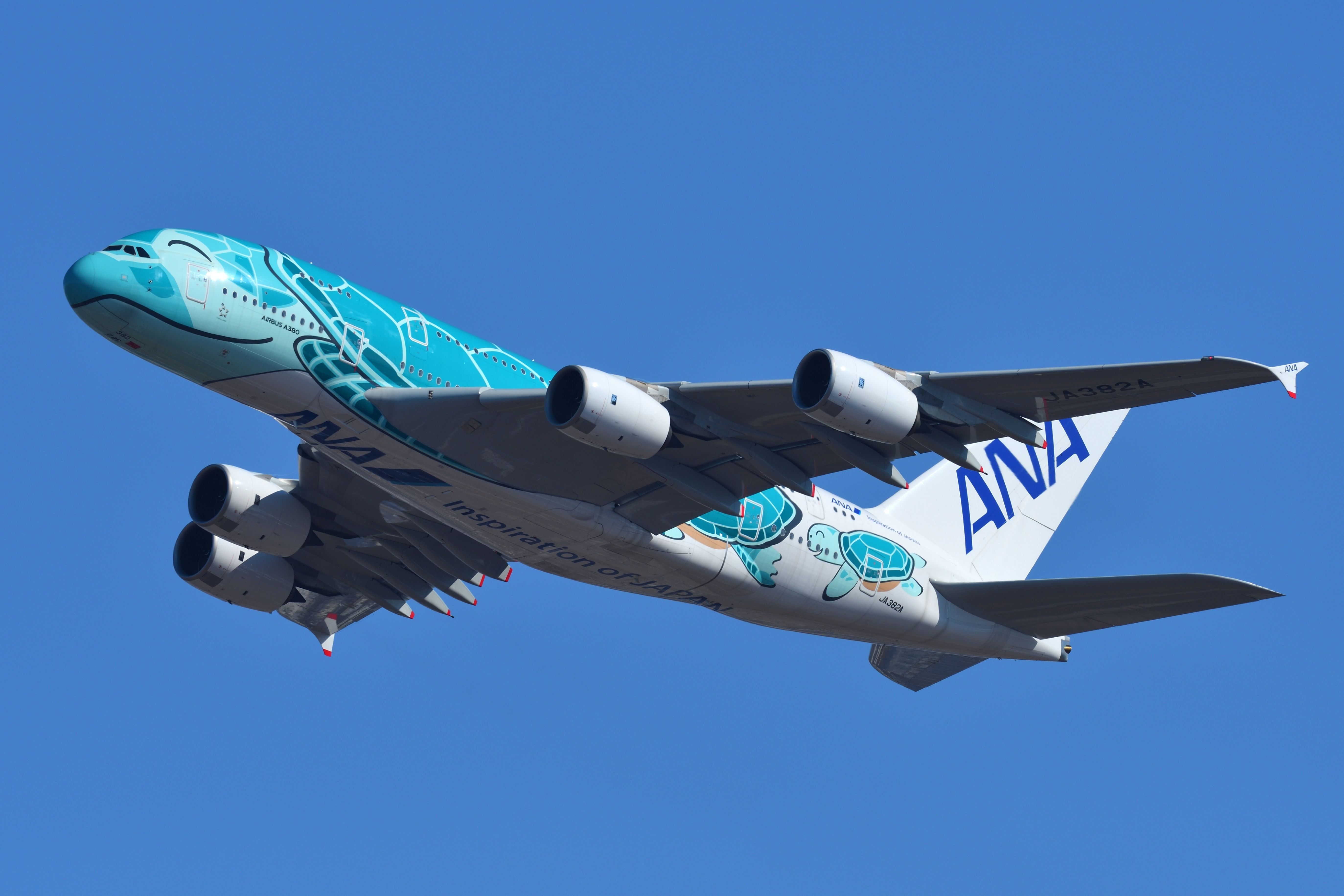 ANAフライングホヌ AIRBUS A380-