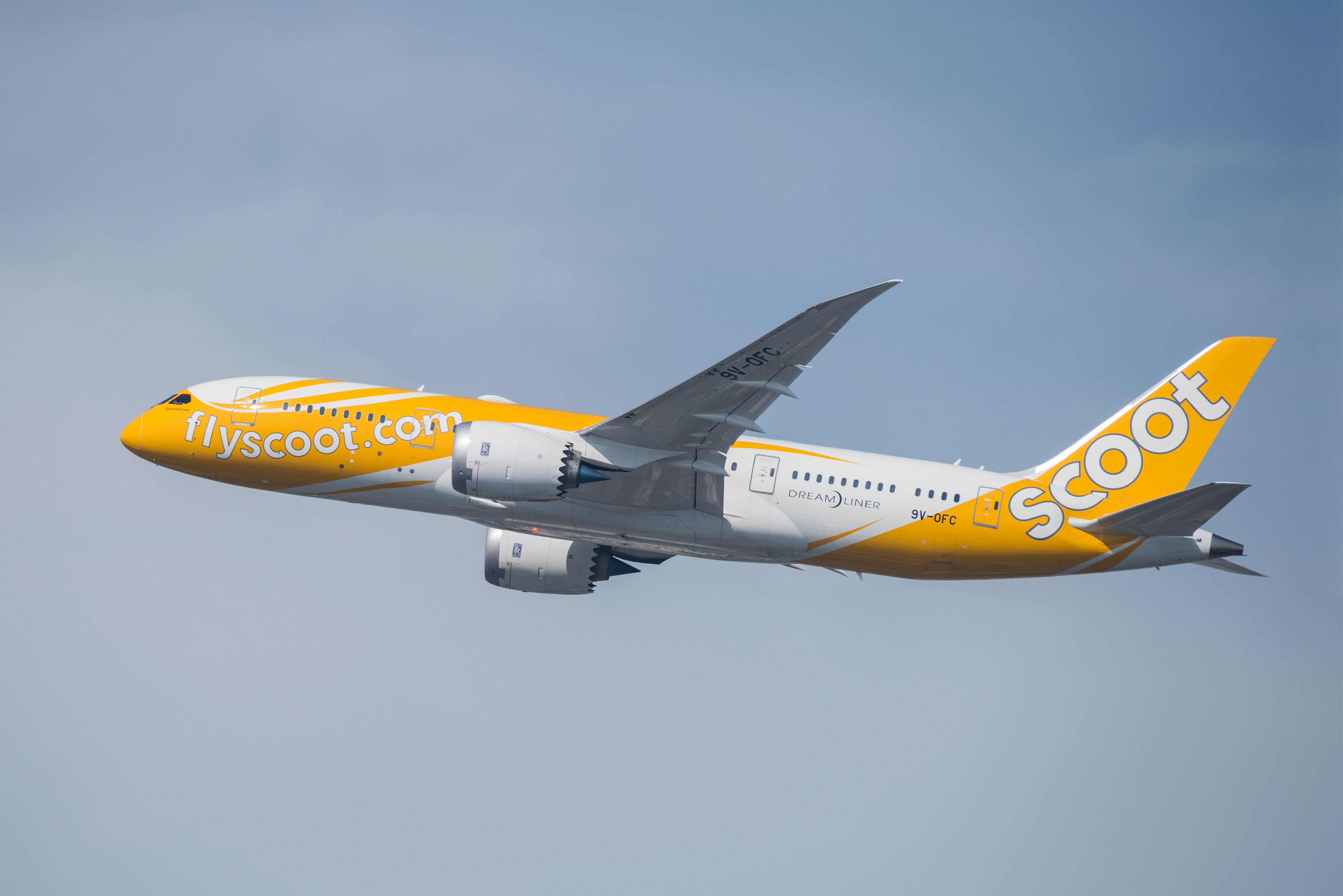 Scoot Boeing 787