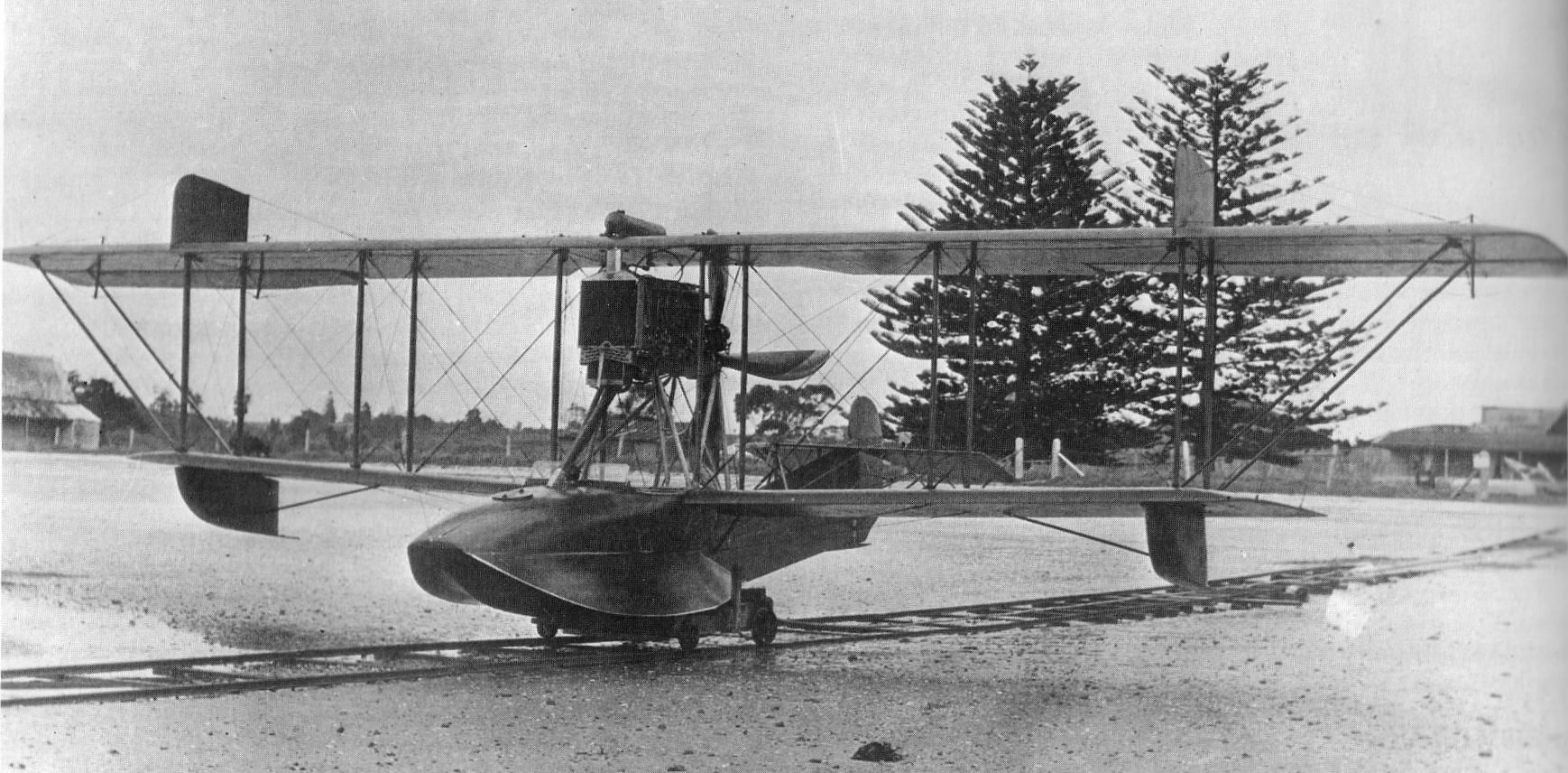 Type D flying boat, piloted by the Walsh brothers