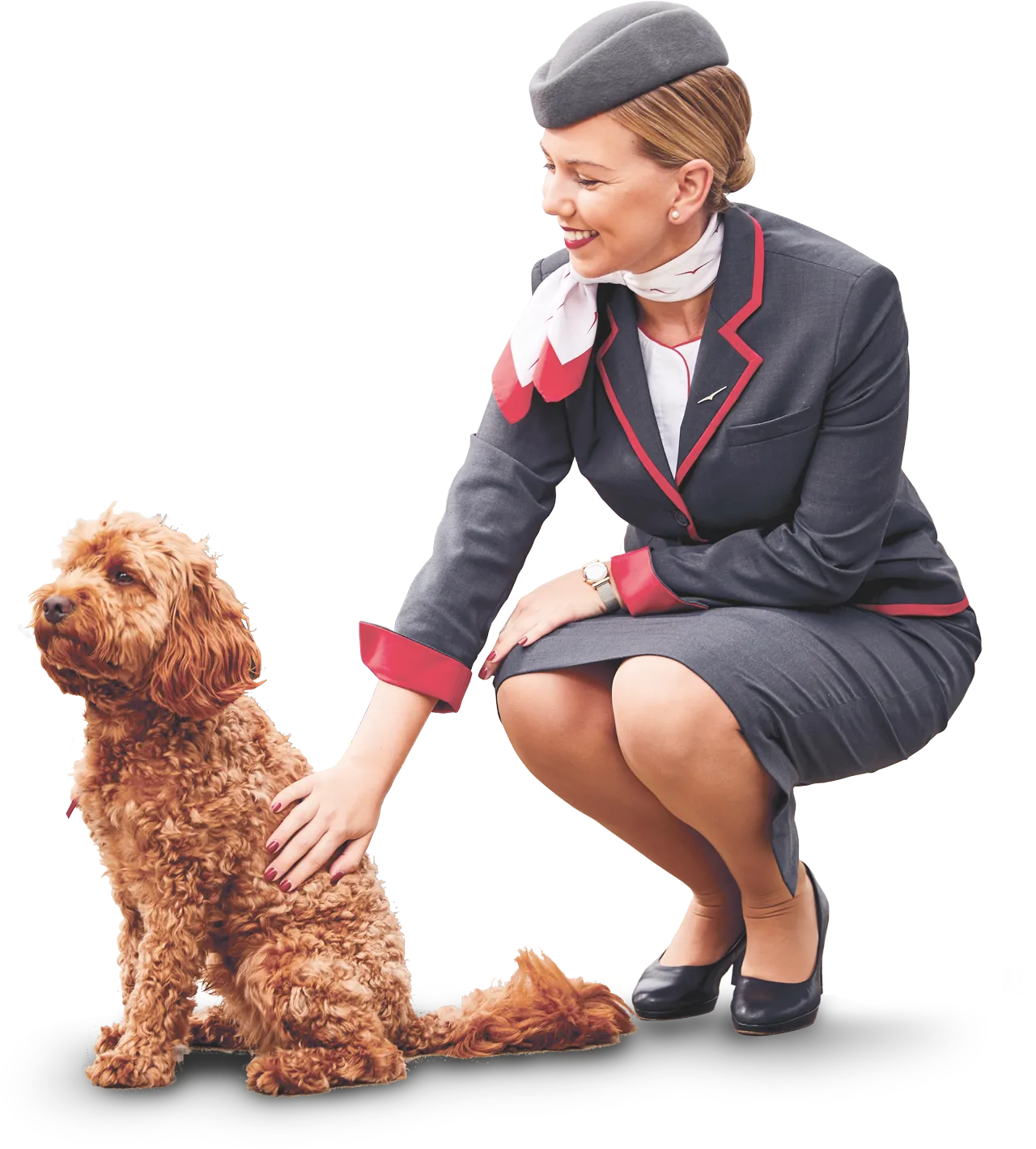 flight attendant private jets with dog