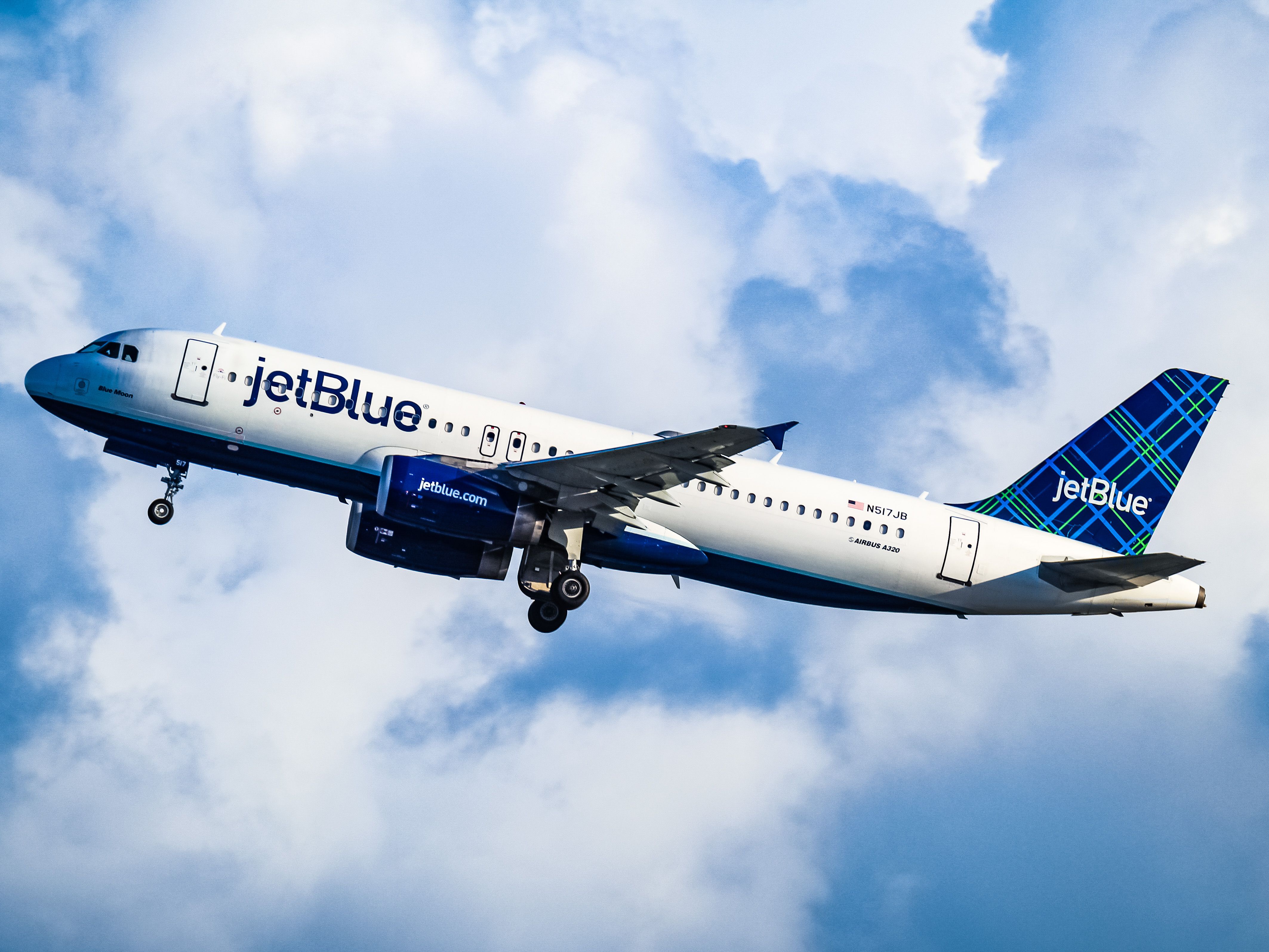 Jetblue flying with clearance cat