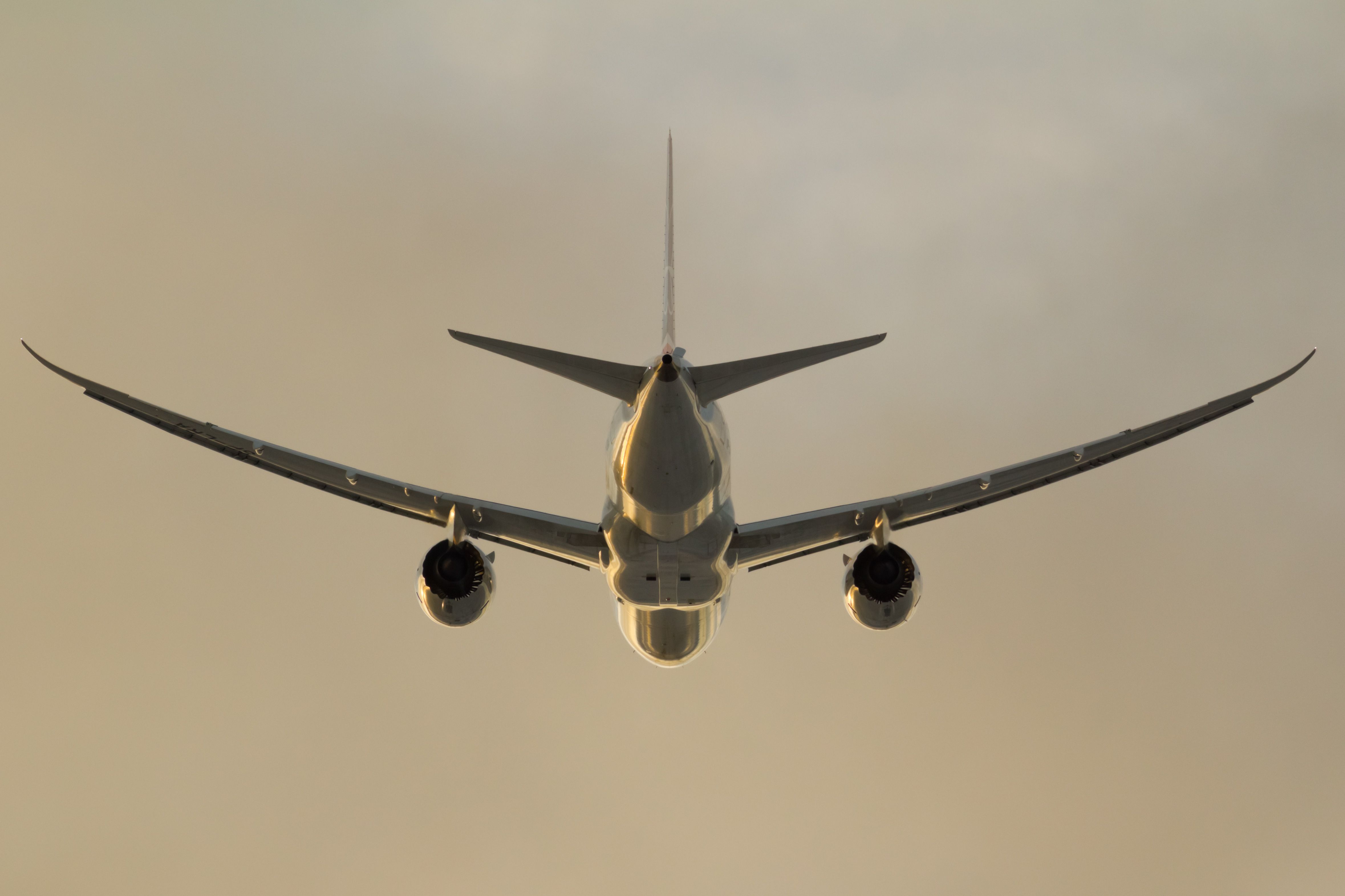 boeing 787 silhouette