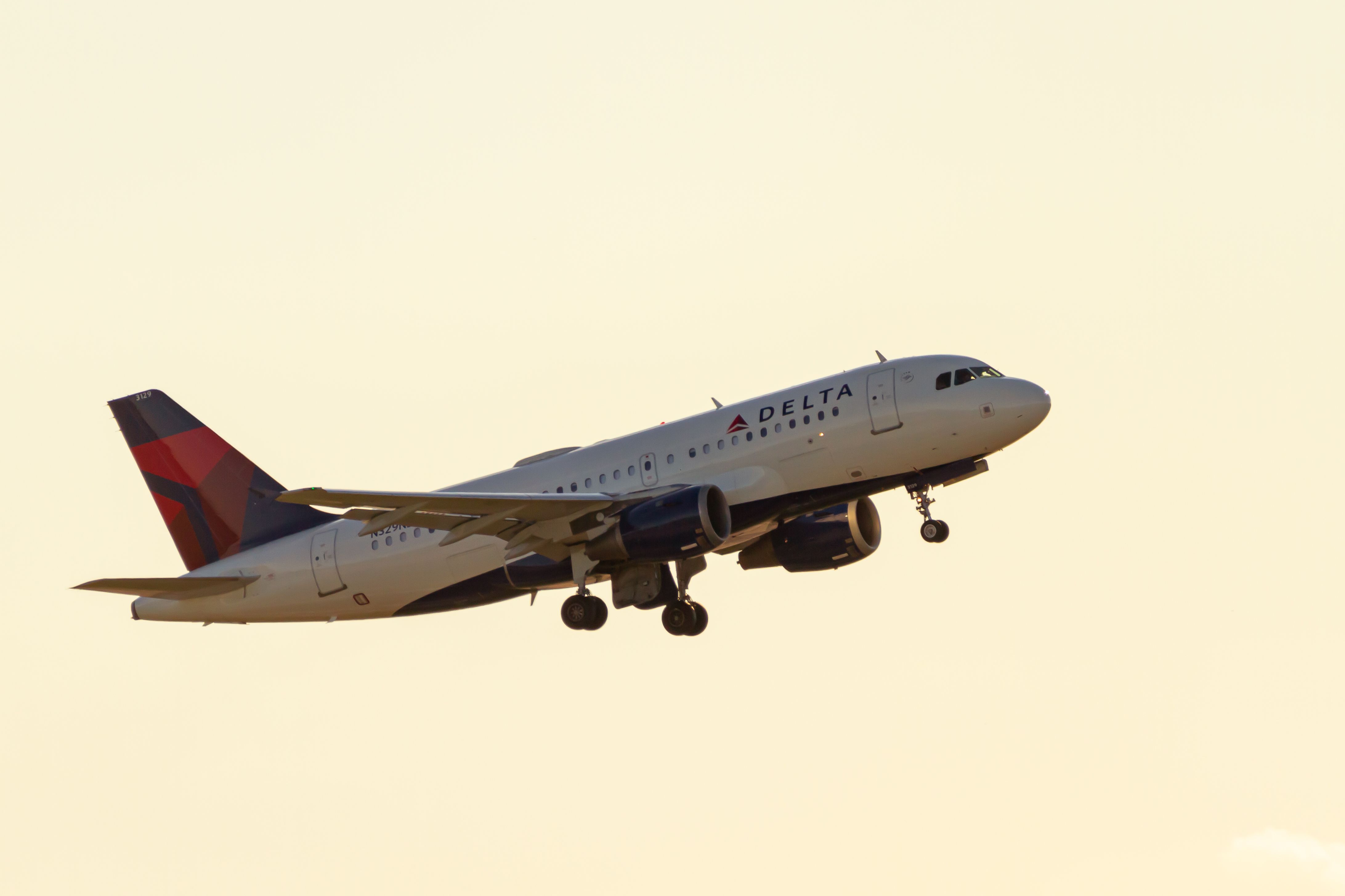 Delta Air Lines Airbus A319