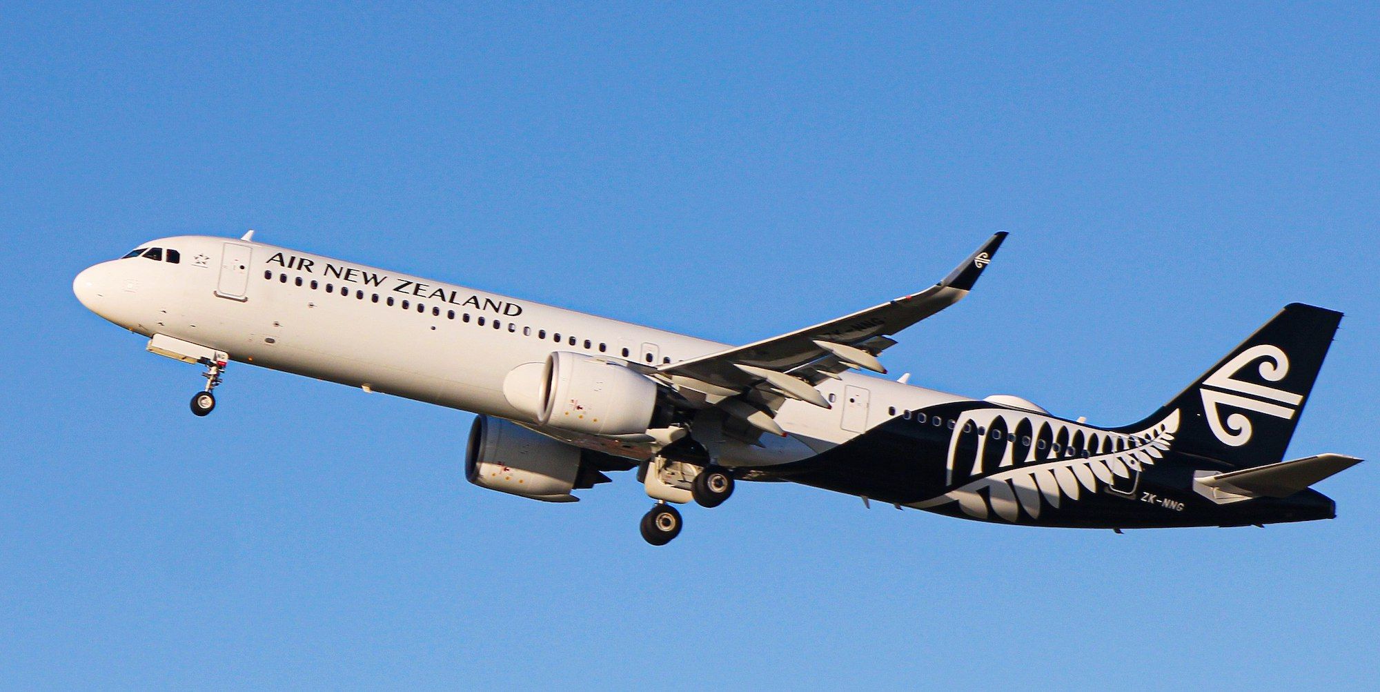 Air New Zealand Cuts Profit Outlook As Engine Issues Ground Up To 10 ...