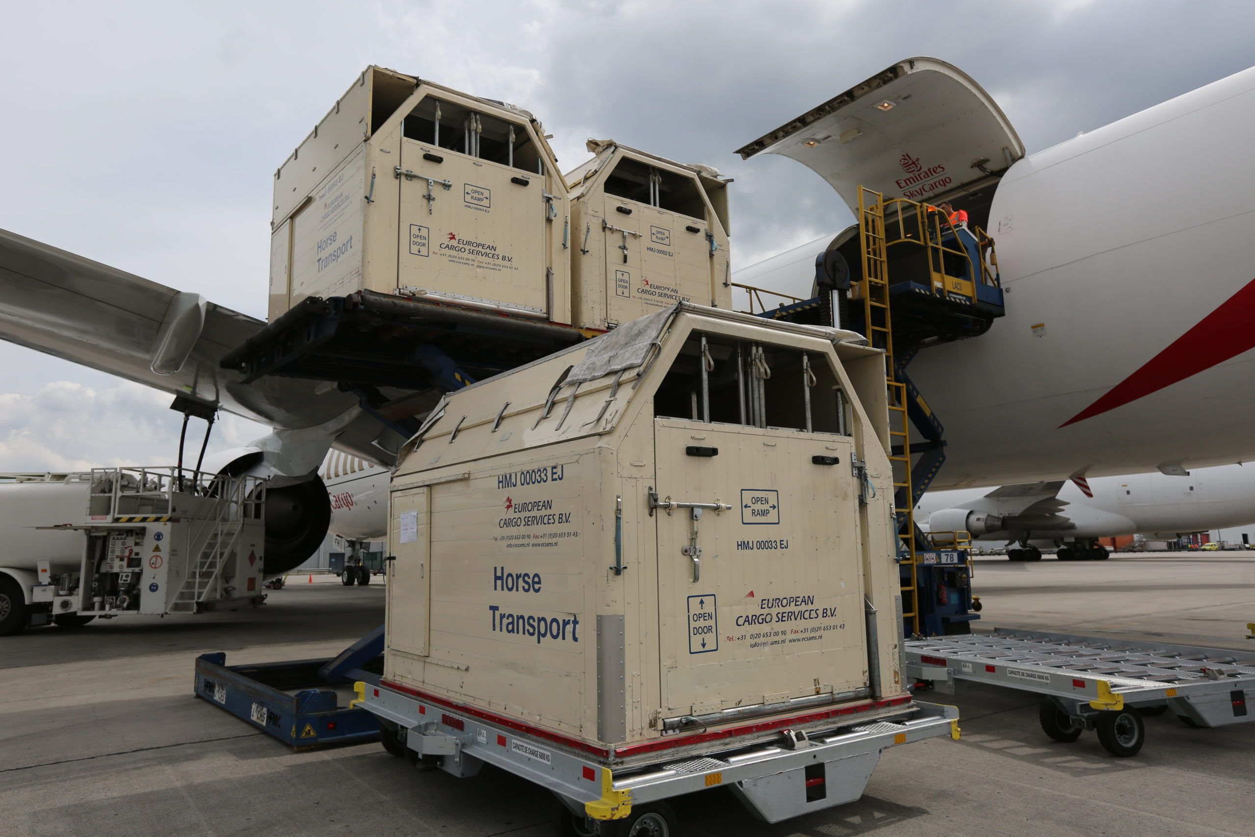 How Challenge Handling Processes 7,000 Horses A Year At Liège Airport