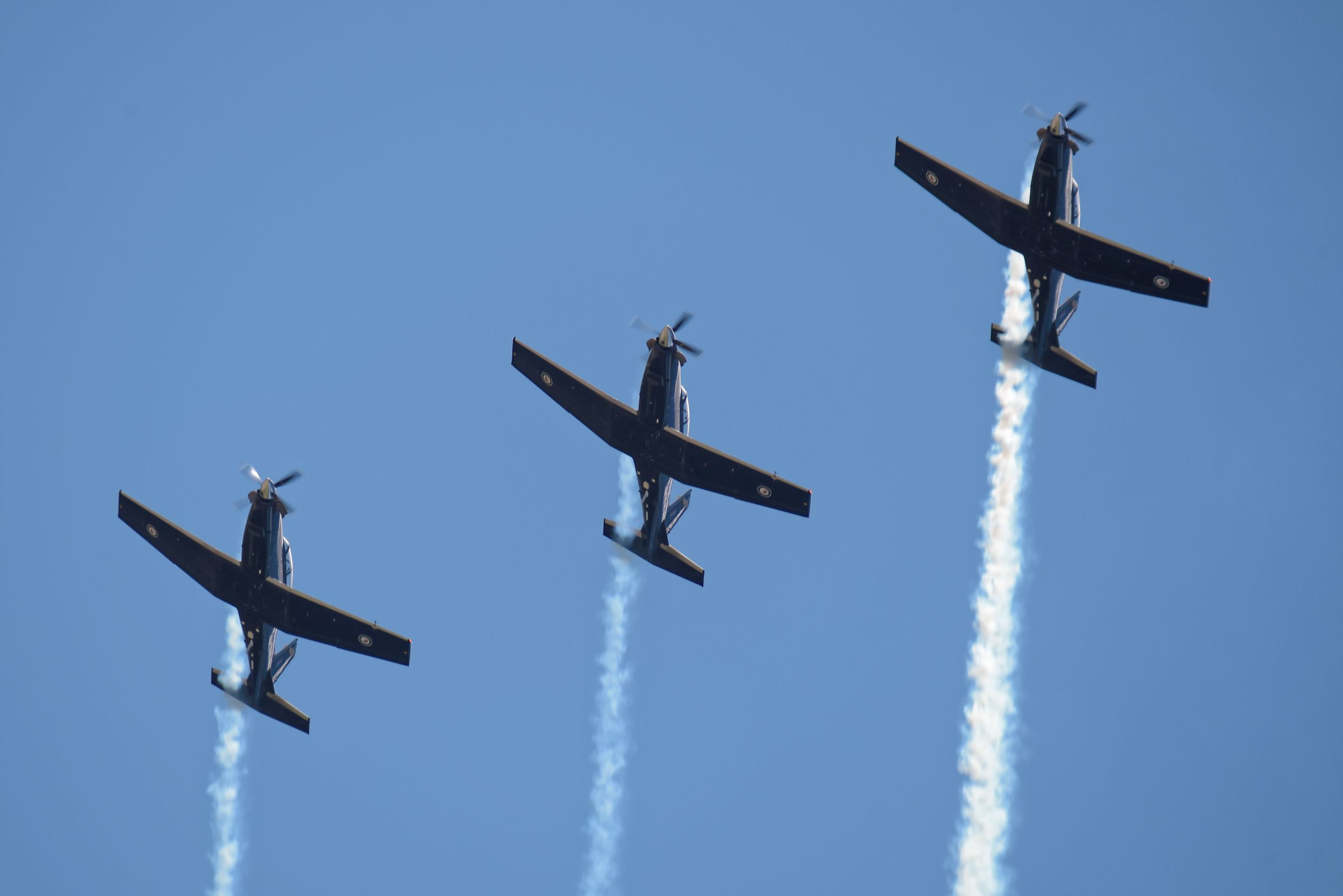 Back In Action: A Guide To New Zealand's 'Black Falcons' Display Team