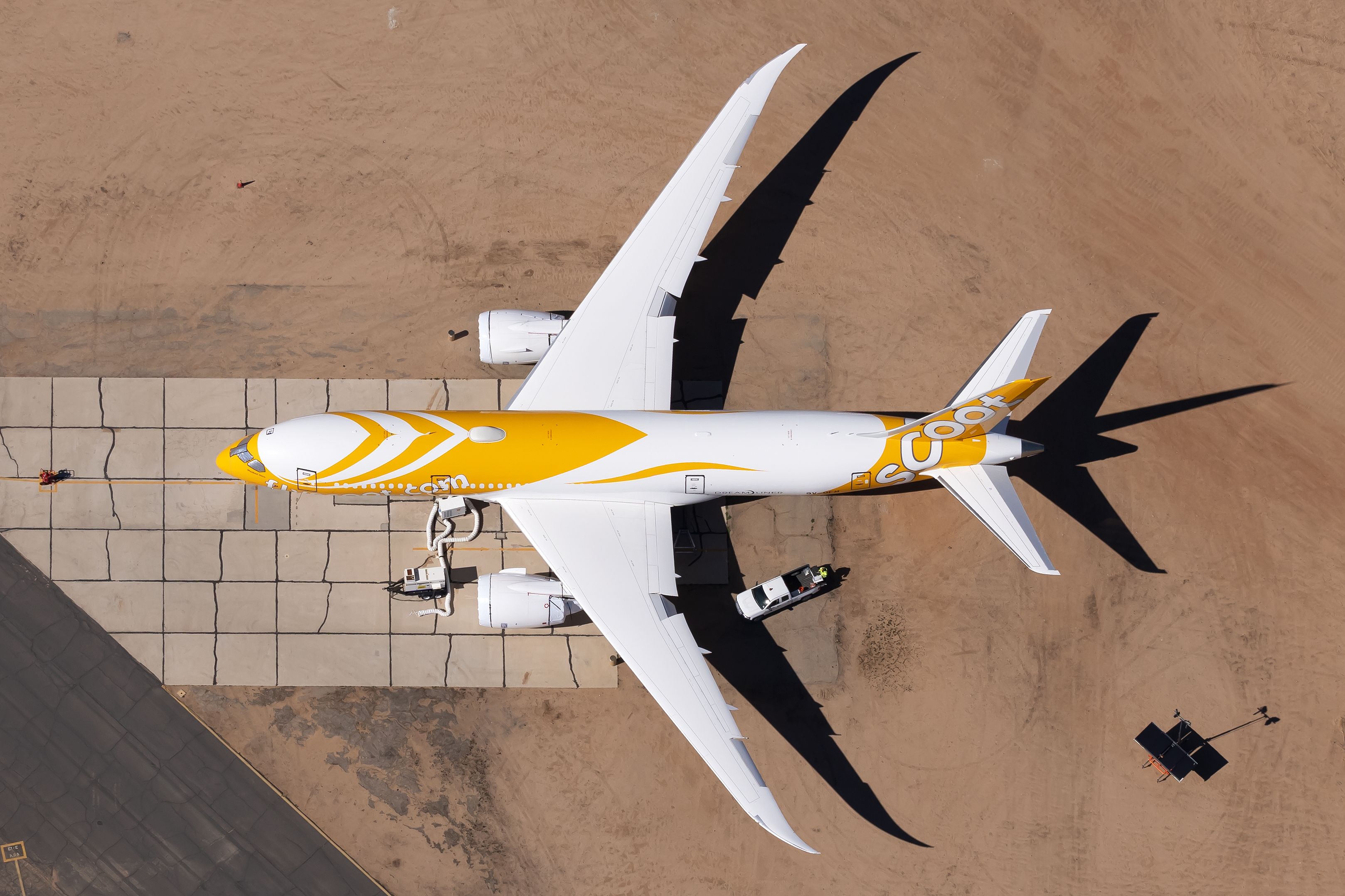 Scoot Boeing 787-8