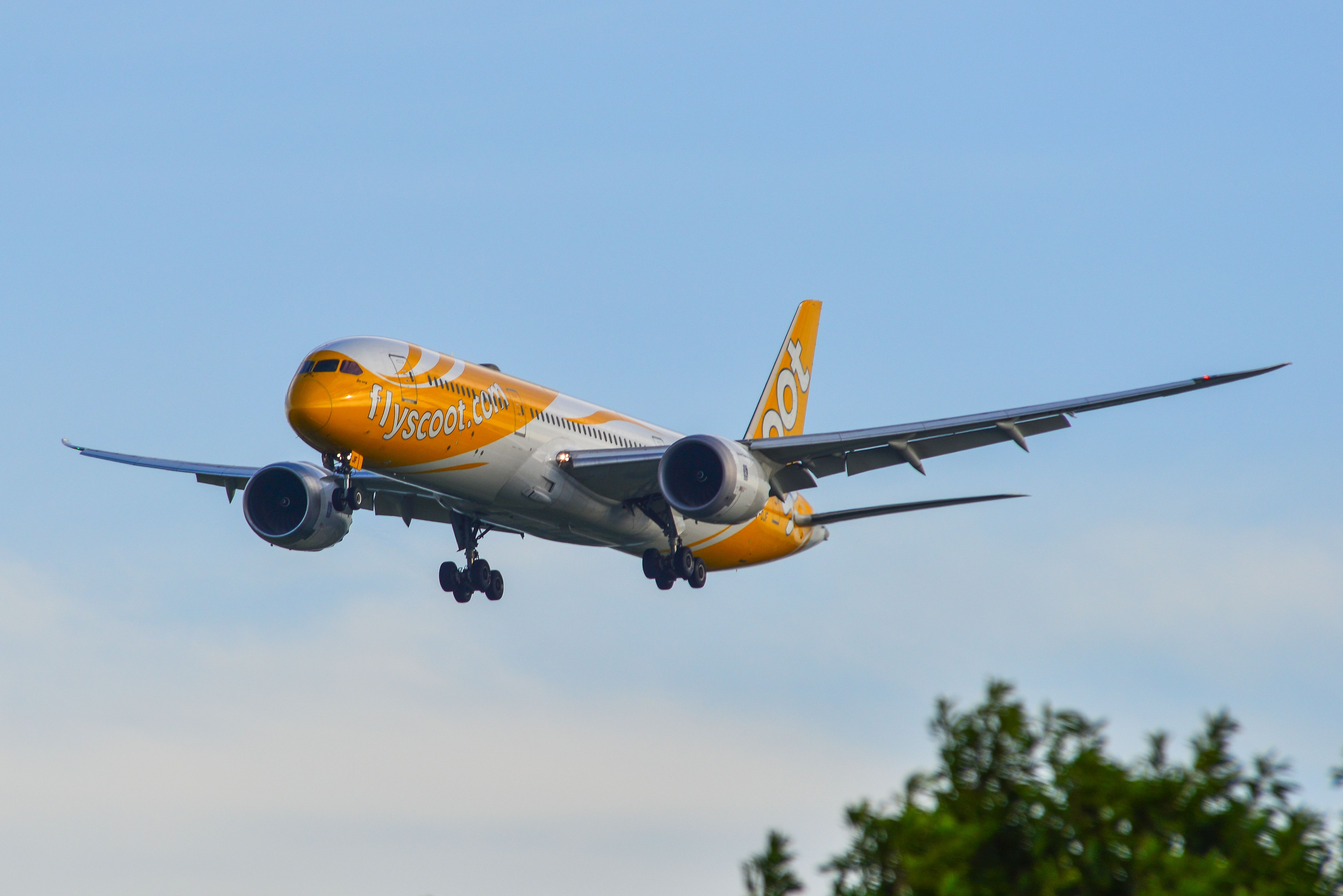 Scoot Boeing 787-9 flying low.