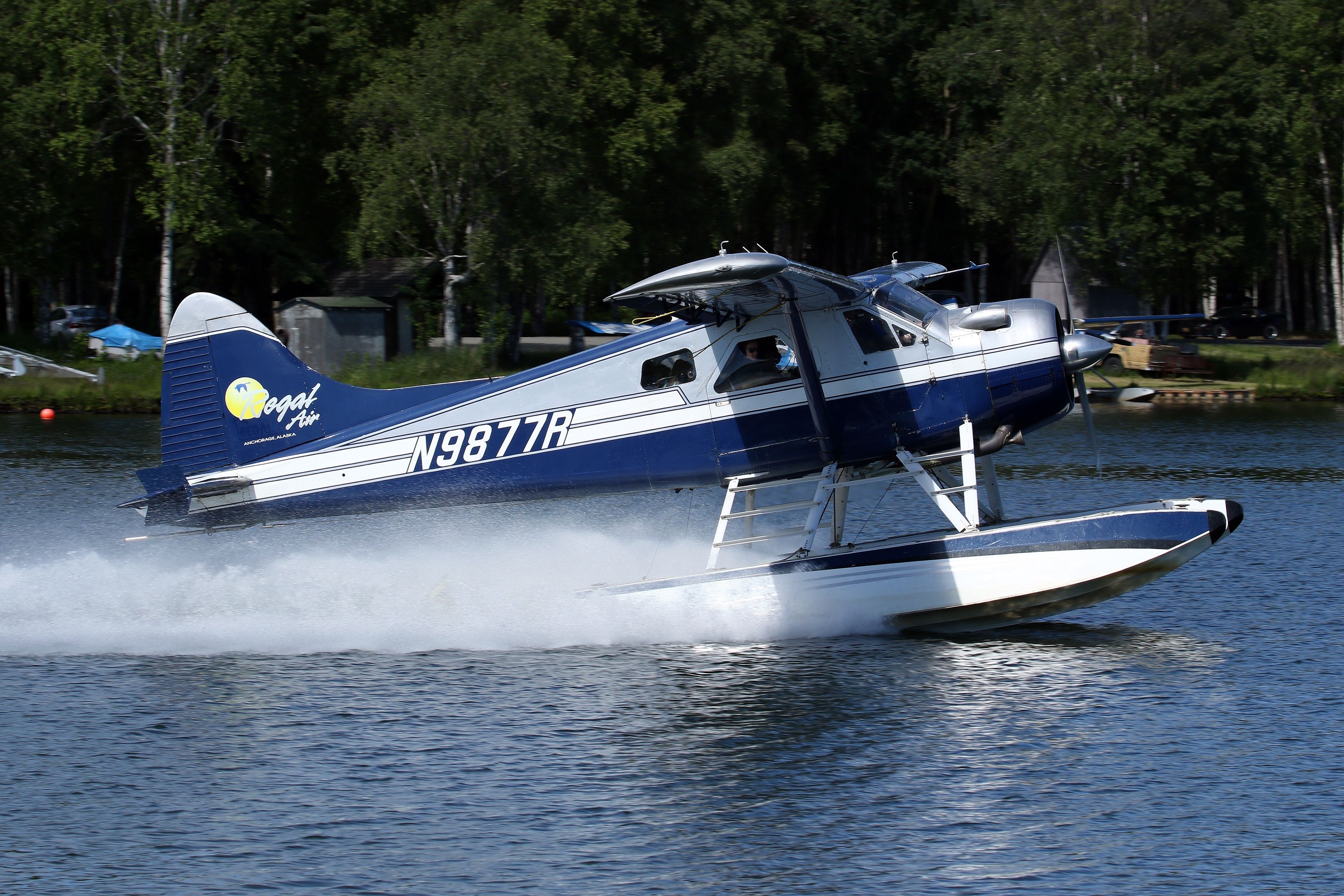 Anchorage, Alaska, USA - July 1 2018: deHavilland Canada DHC-2 Beaver floatplane operated by Regal Air taking off from Anchorage Lake Hood Seaplane Base.