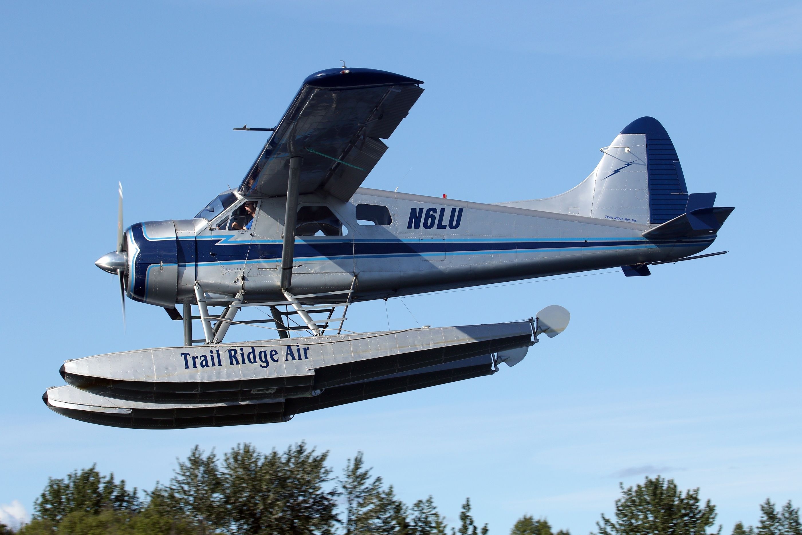 Beaver floatplane landing at Anchorage Lake Hood Seaplane Base.