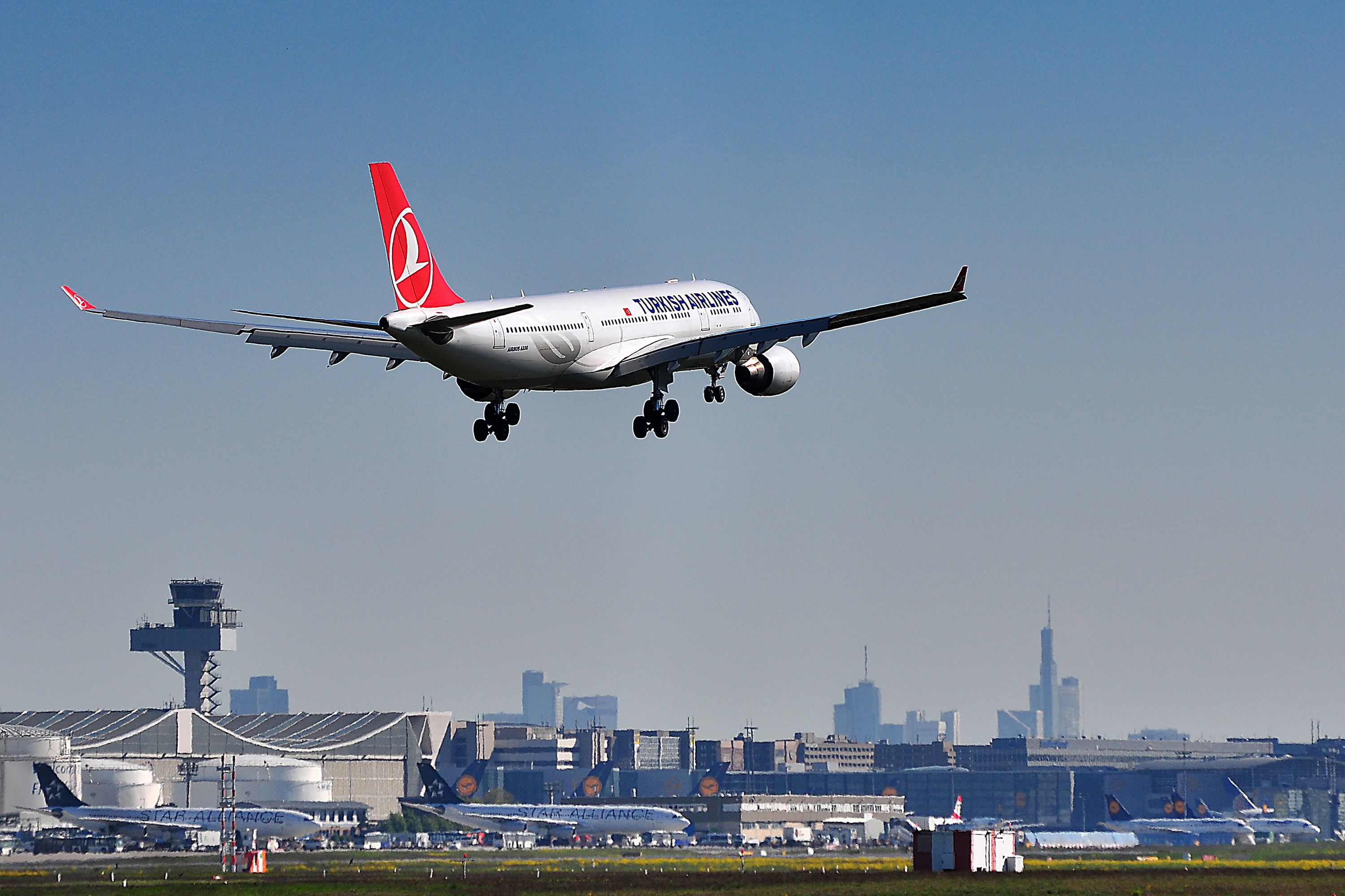 Turkish Airlines Airbus A330 @ Frankfurt Airport