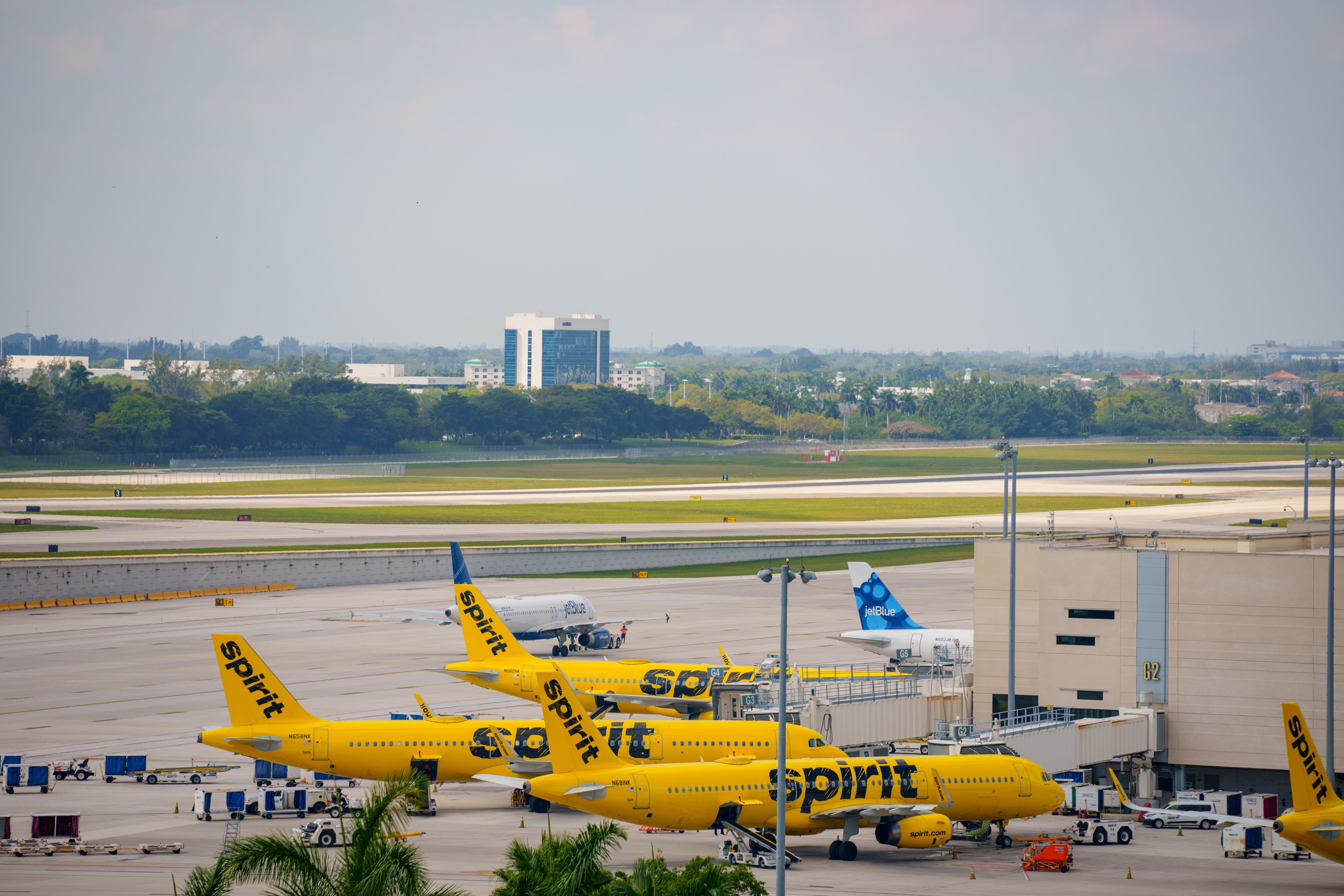 A view of several Spirit aircraft parked in Fort Lauderdale 