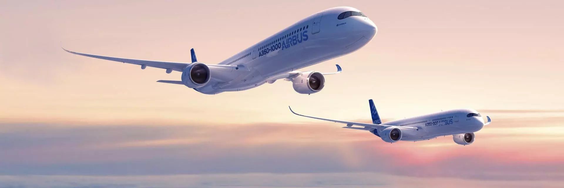 An Airbus A350-1000 and -900 flying together.