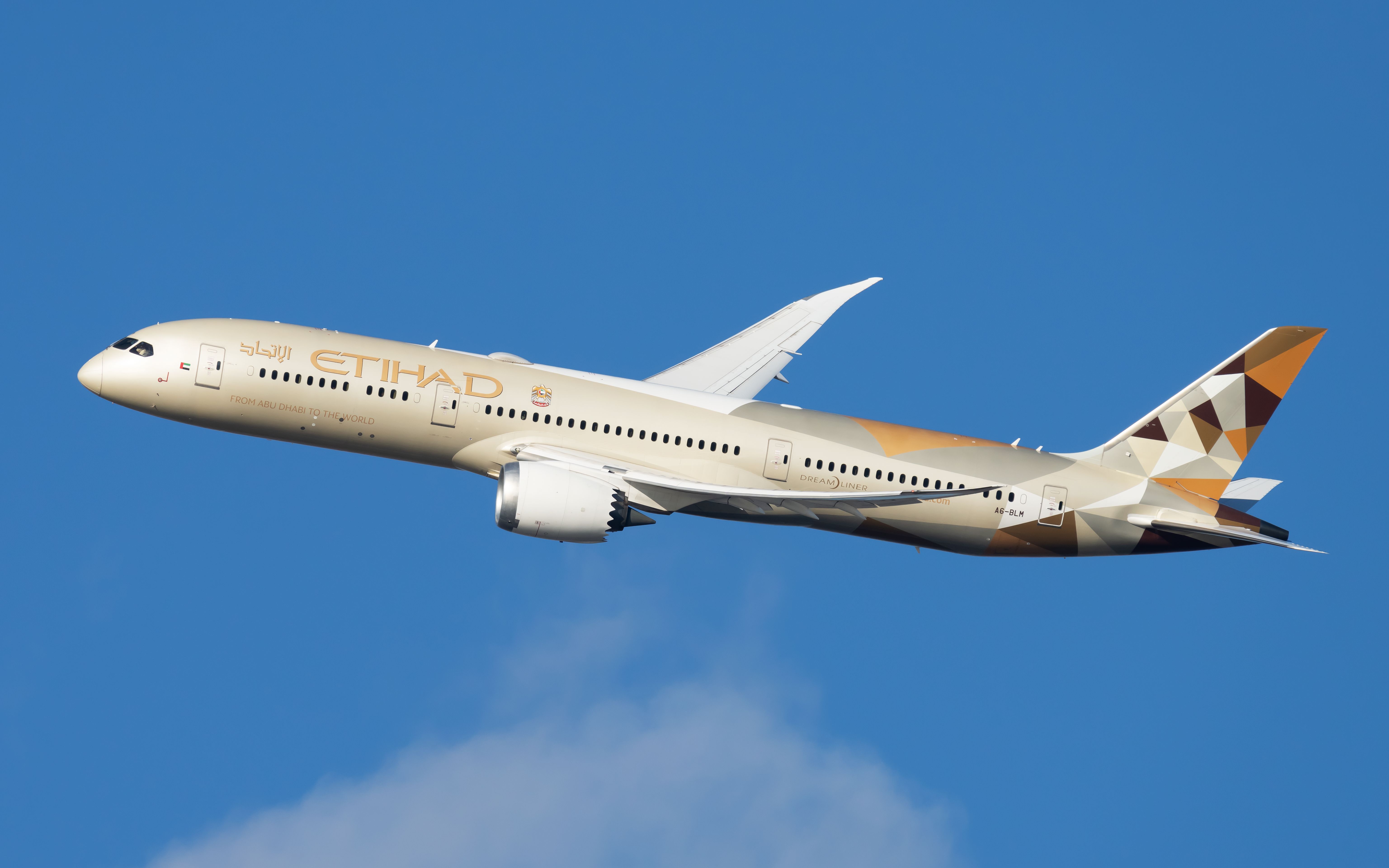 An Etihad Airways Boeing 787-9 flying in the sky.