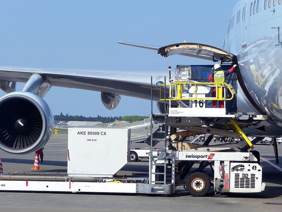 Can You Take A Double Bass On A Plane?