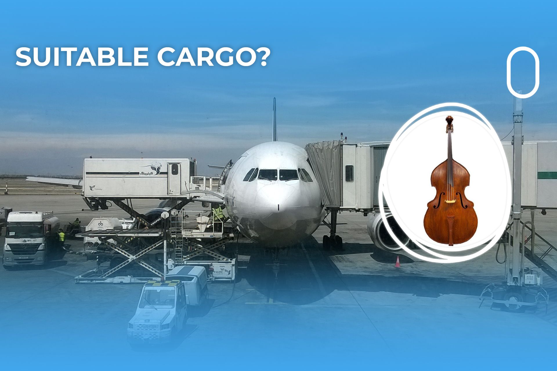Can You Take A Double Bass On A Plane?