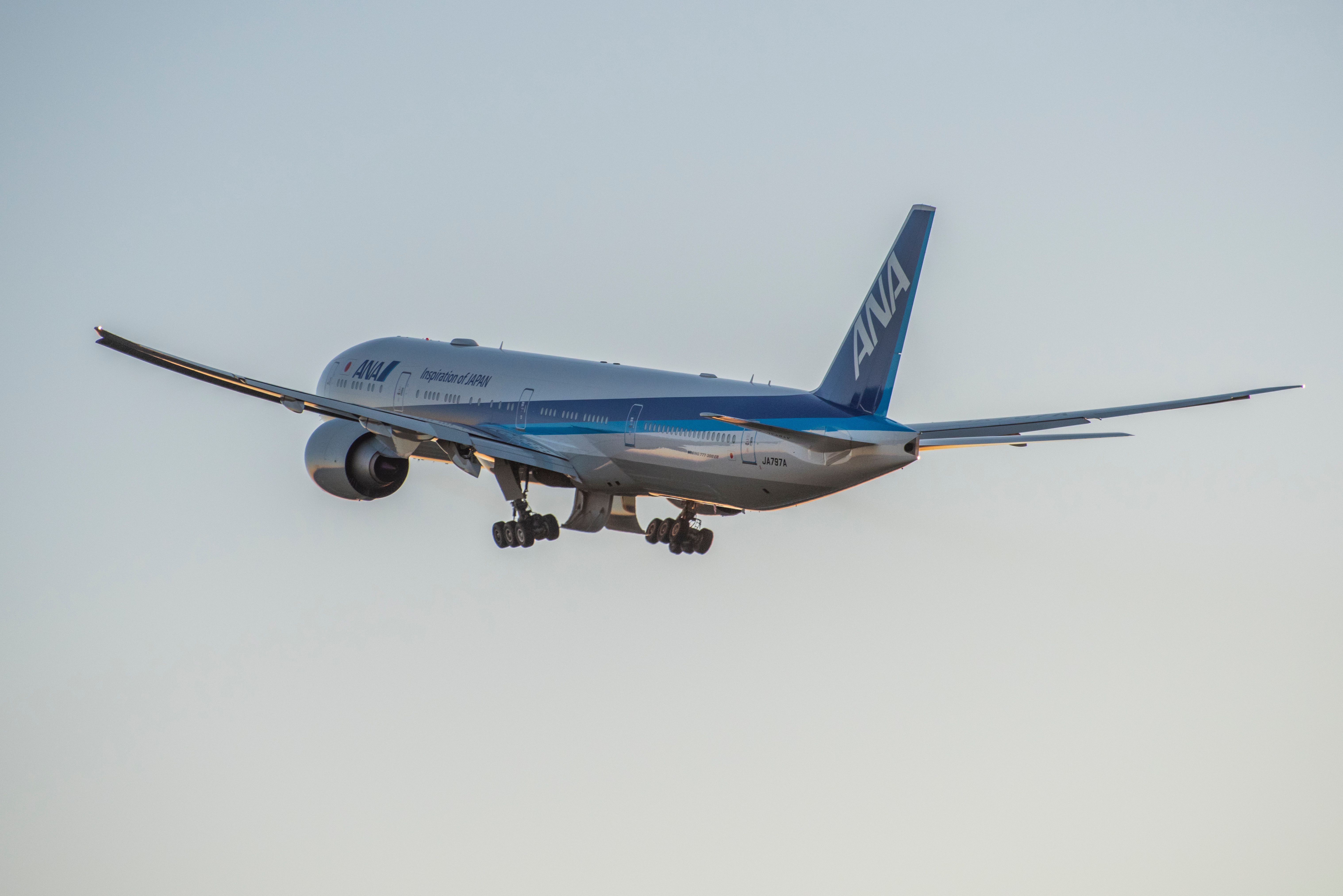 An ANA Boeing 777-300ER on initial climb-out.