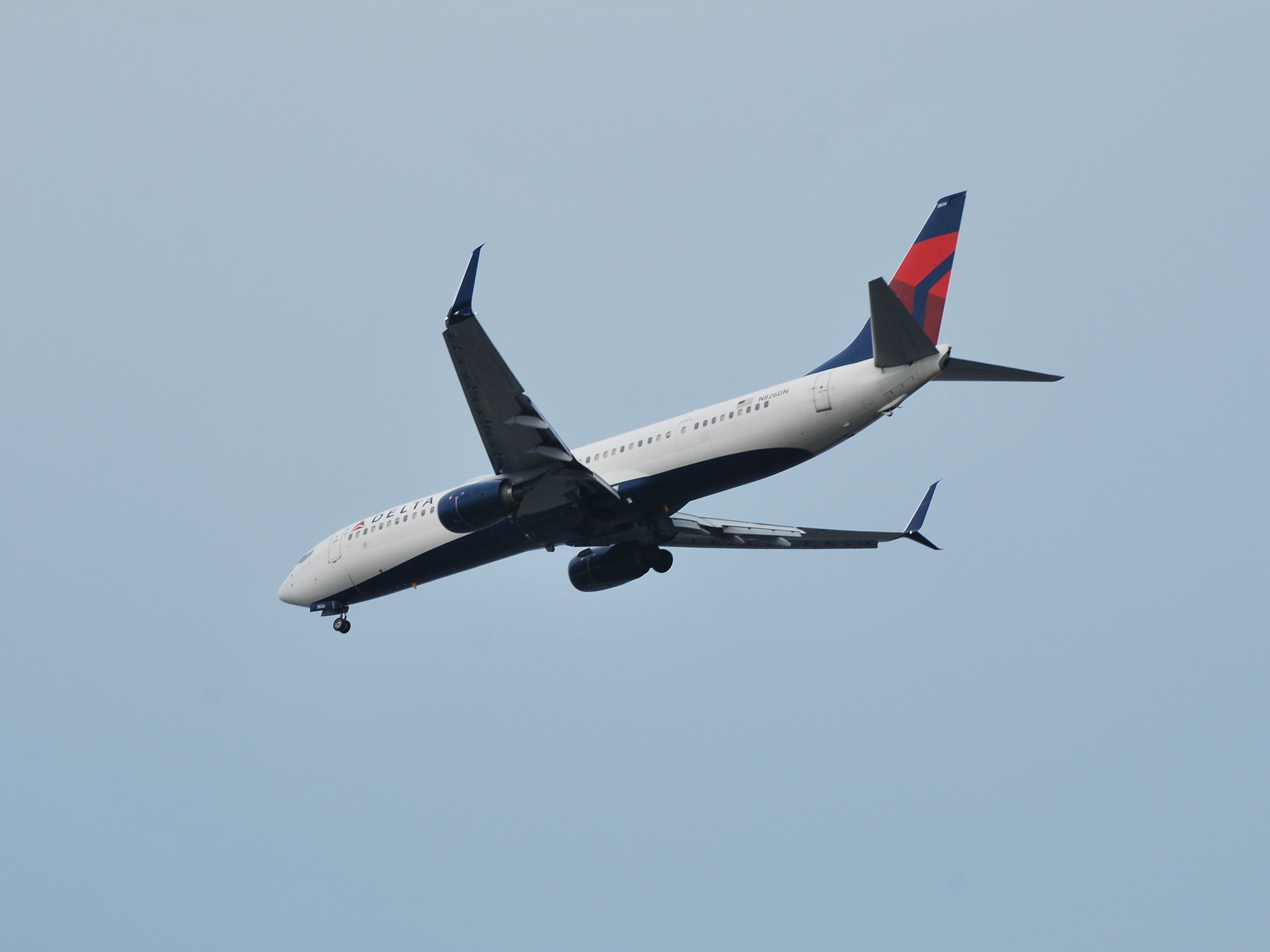 delta 737-8 global guy