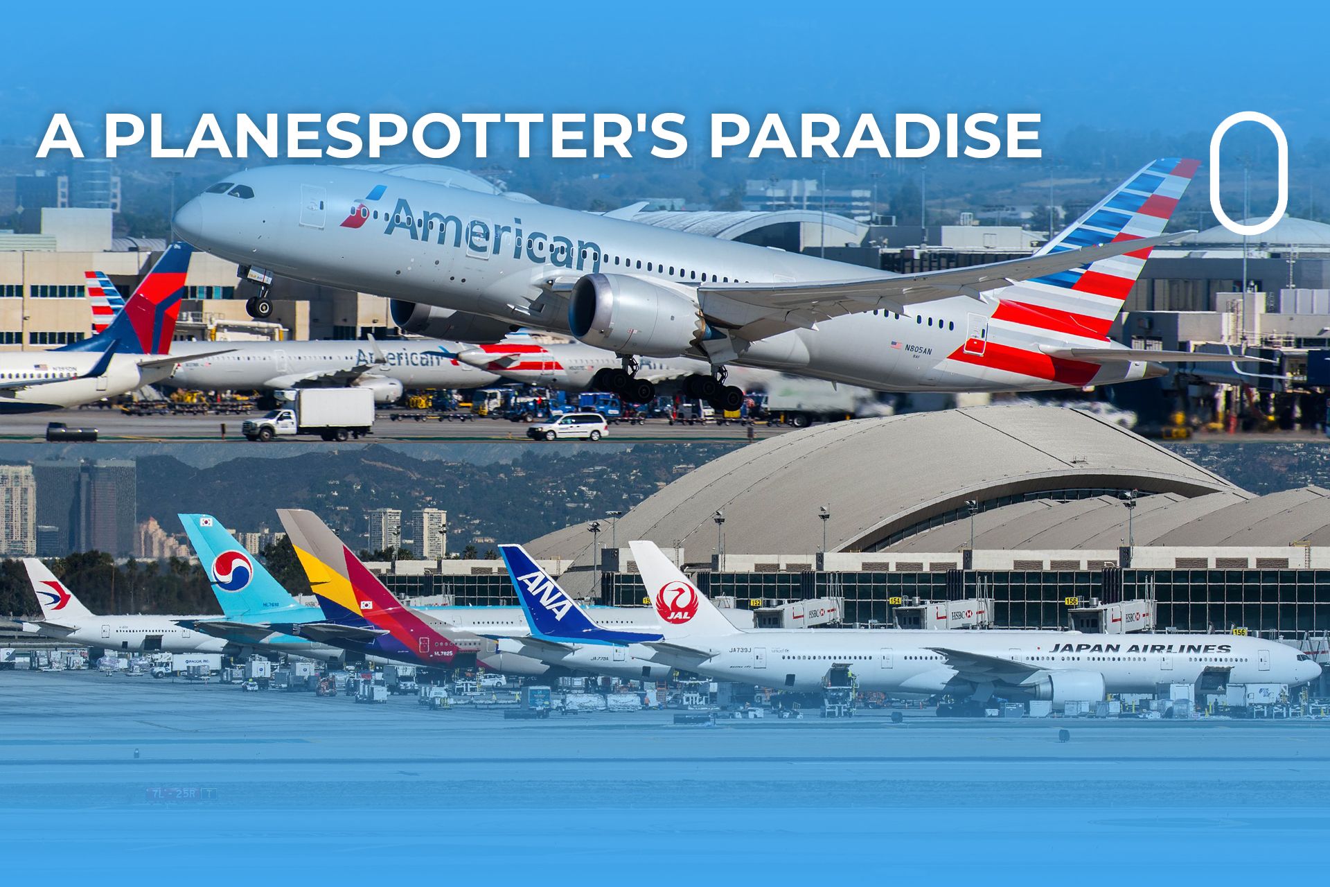 Planespotting At Los Angeles International Airport Everything You Need To Know 