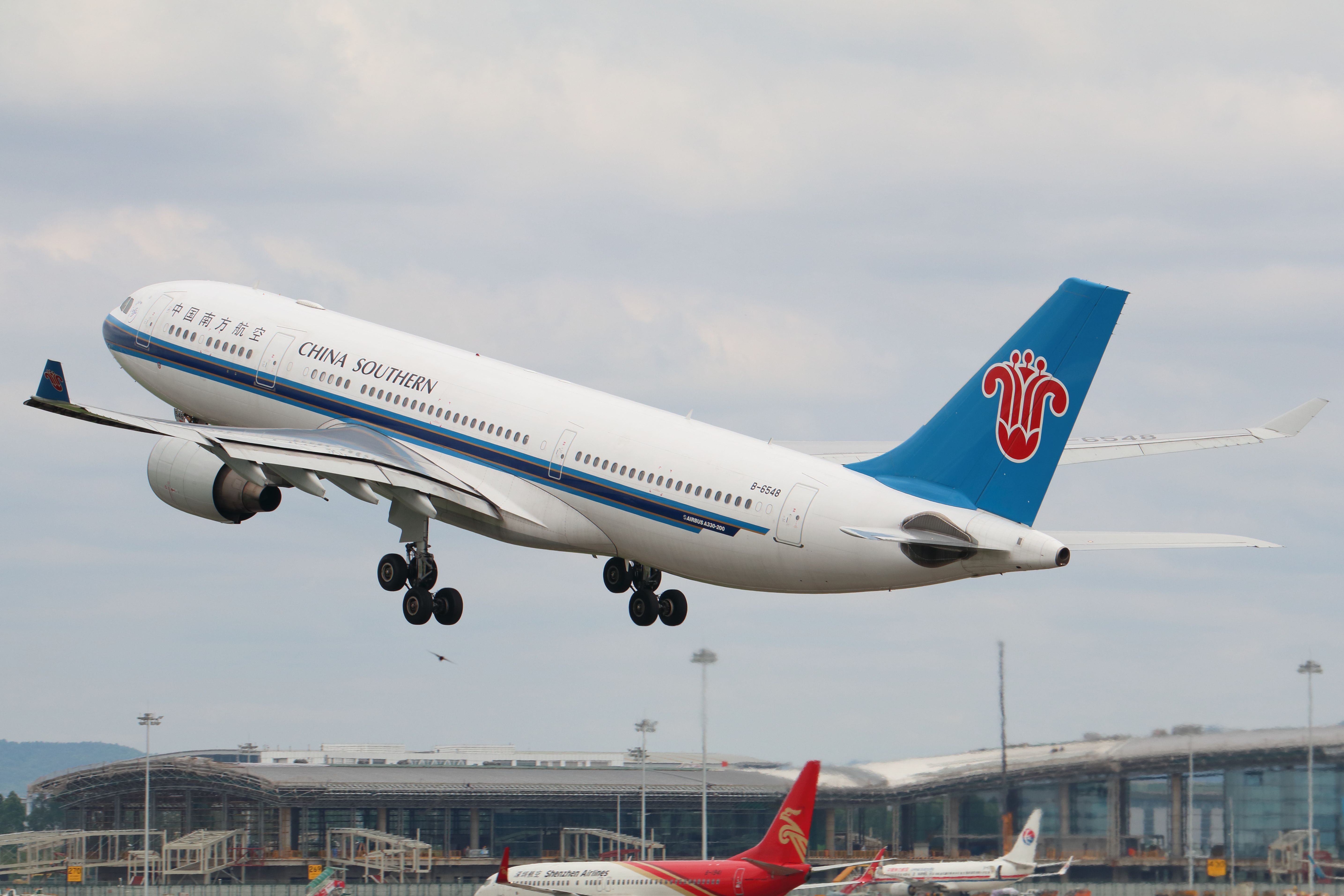 China Southern Airlines Airbus A330-223 B-6548 (MSN 1335)