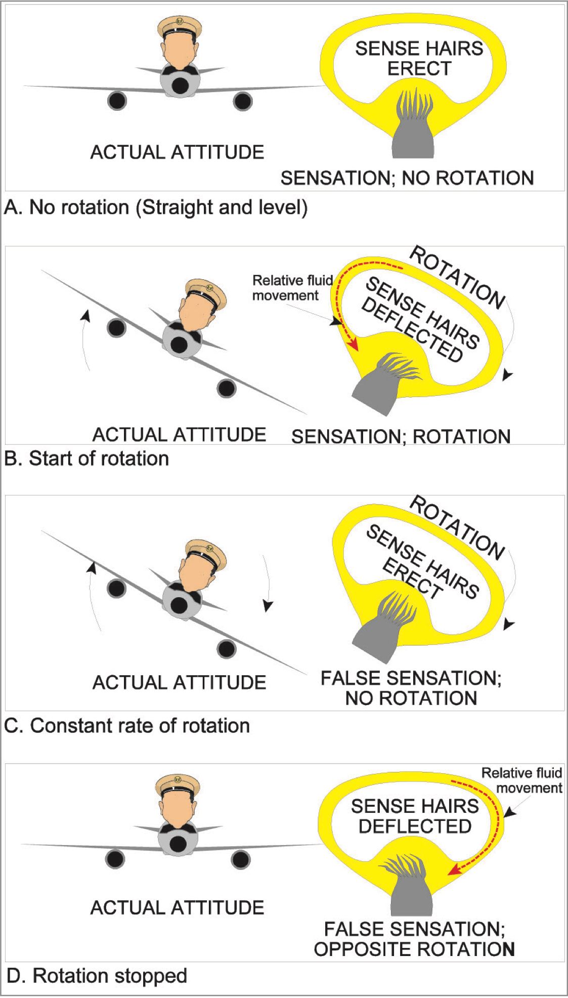 A diagram explaining a somatogyral illusion.