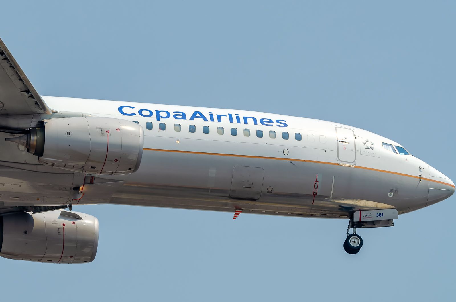 A Copa Airlines Boeing 737-800 flying in Mexico City.