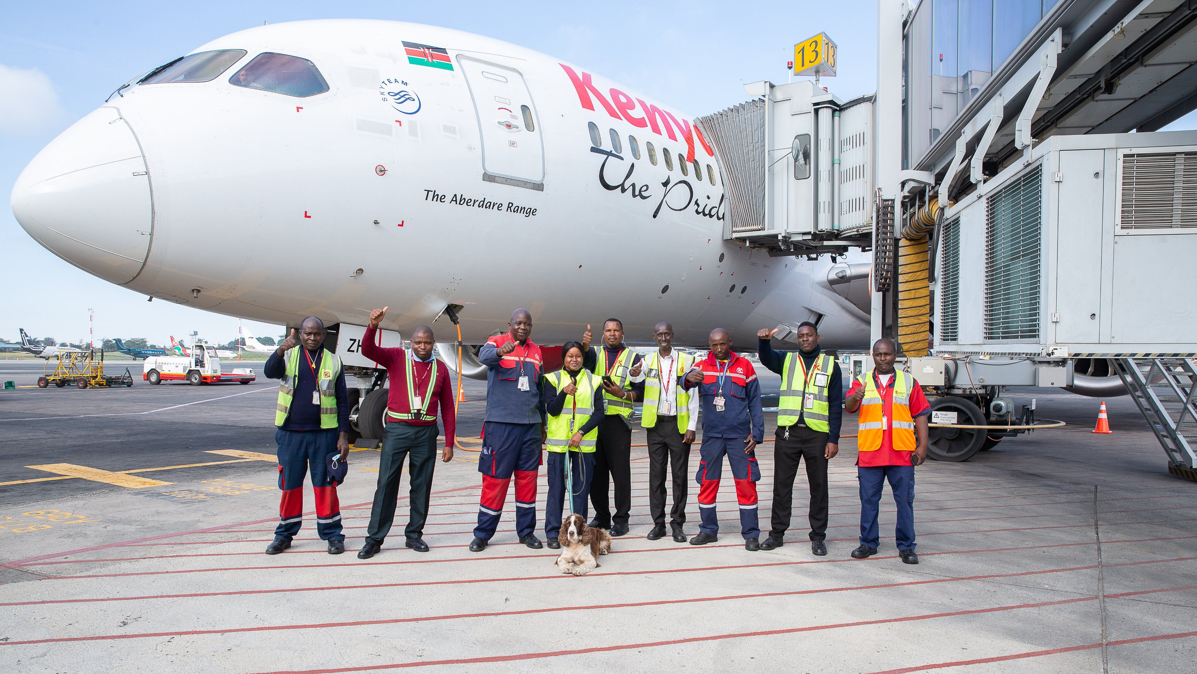 Kenya Airways TSFC Boeing 787 dreamliner flight