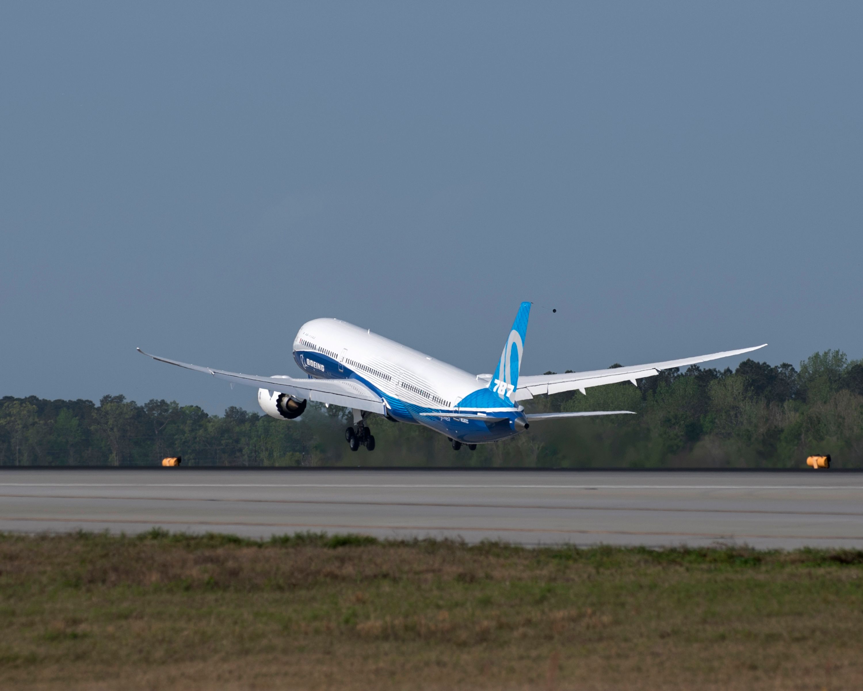 A Boeing 787 in house livery taking off.