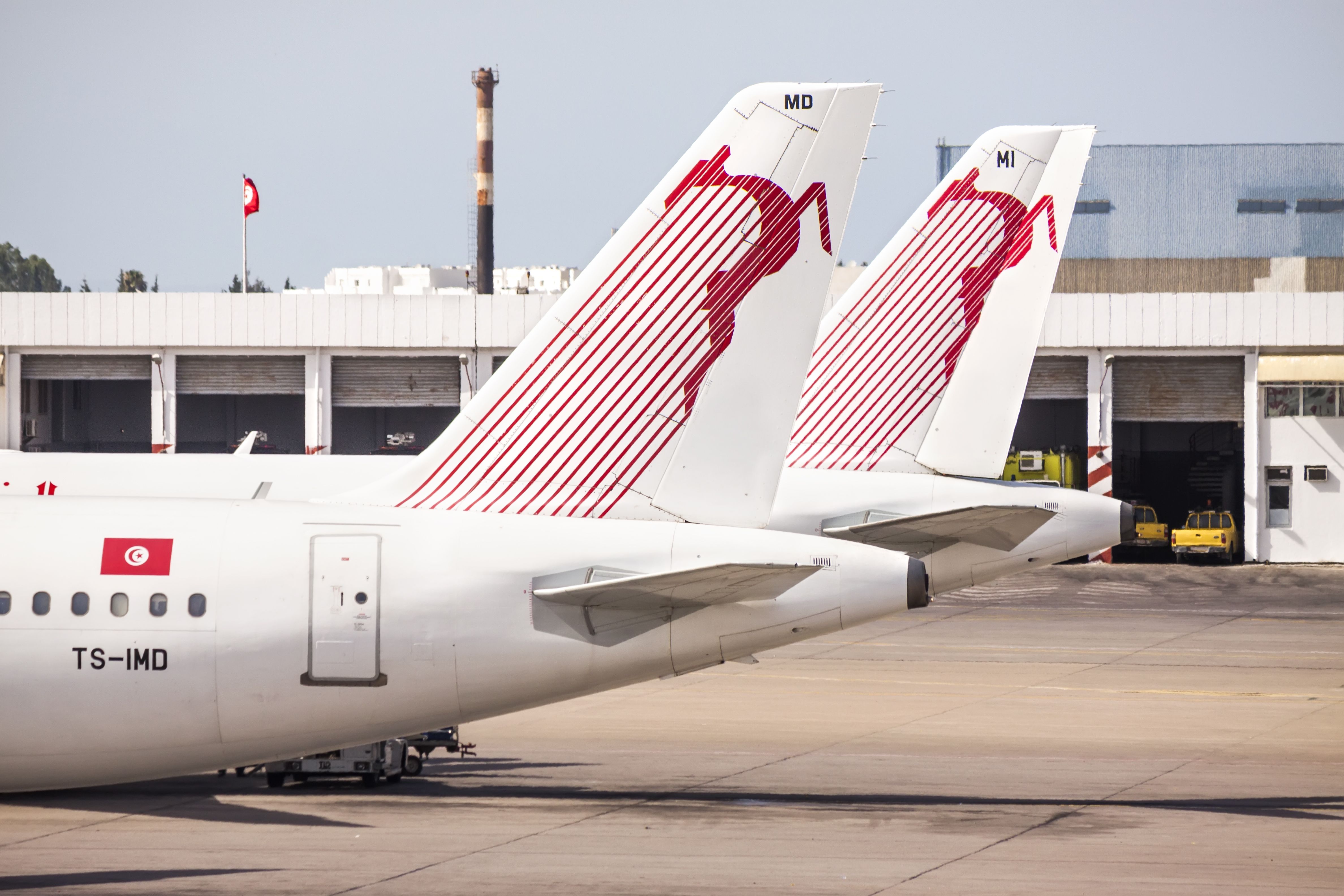 The tails of multipe Tunisair aircraft at an airport.