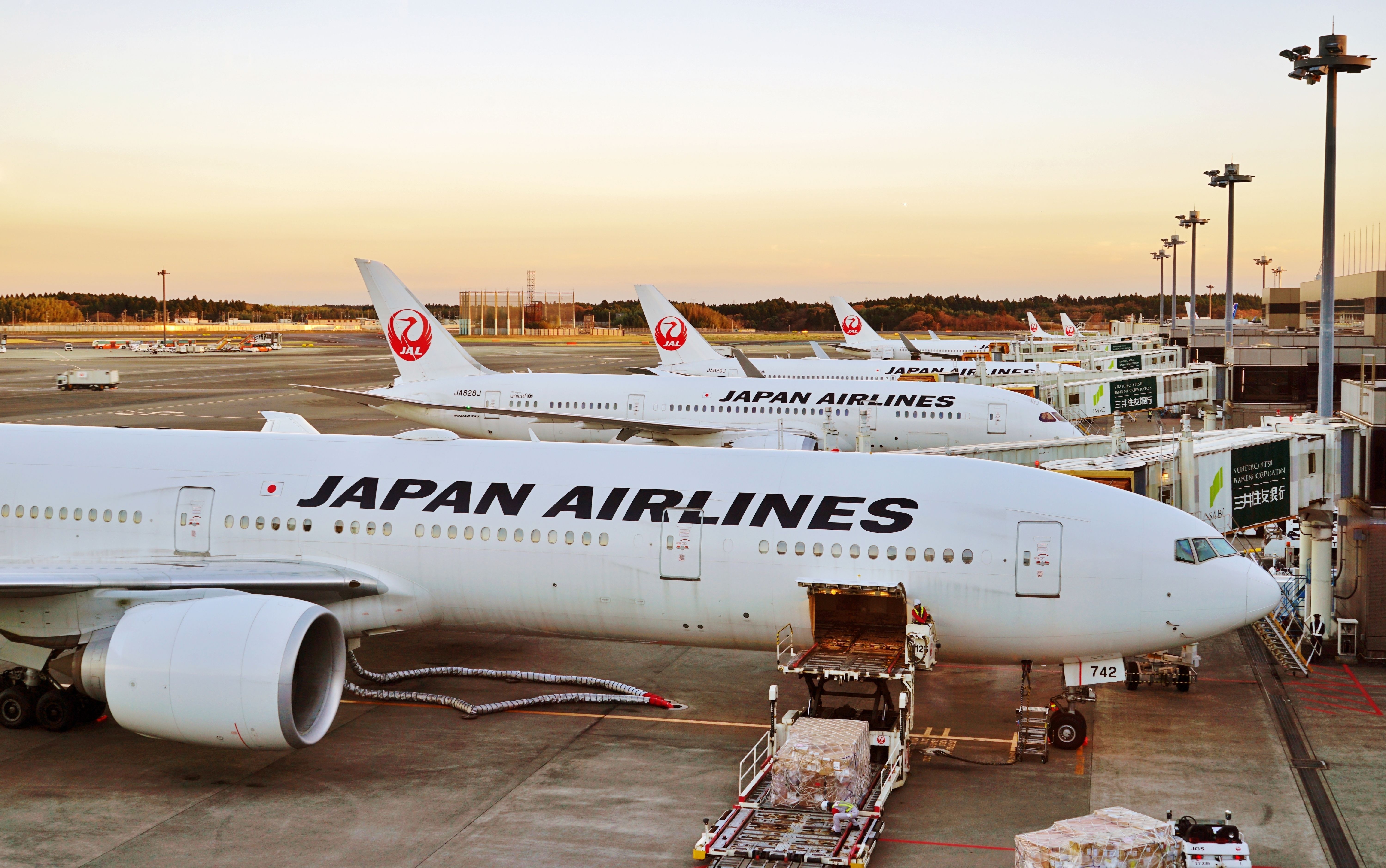 Japan Airlines aircraft