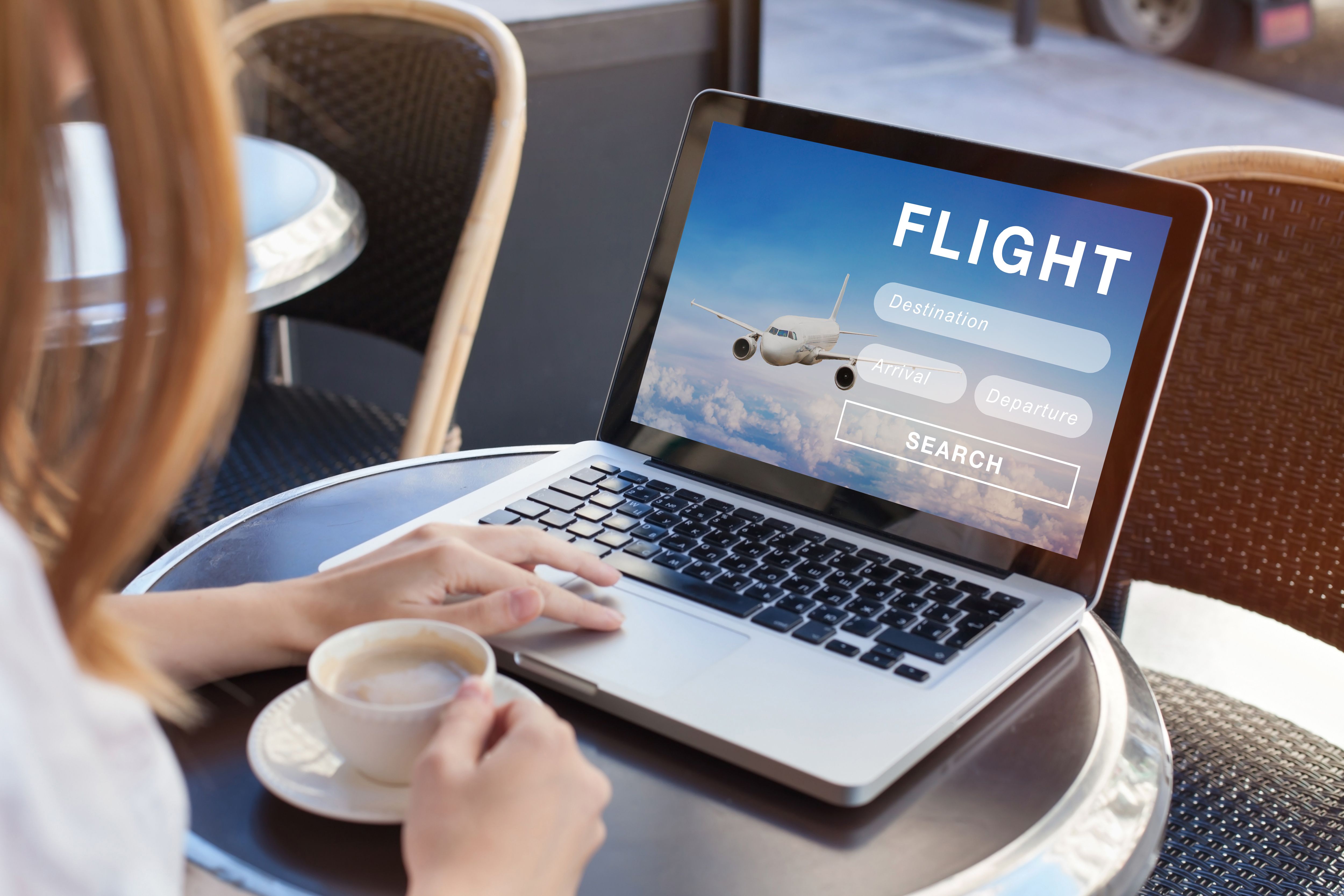 flight search on internet website
