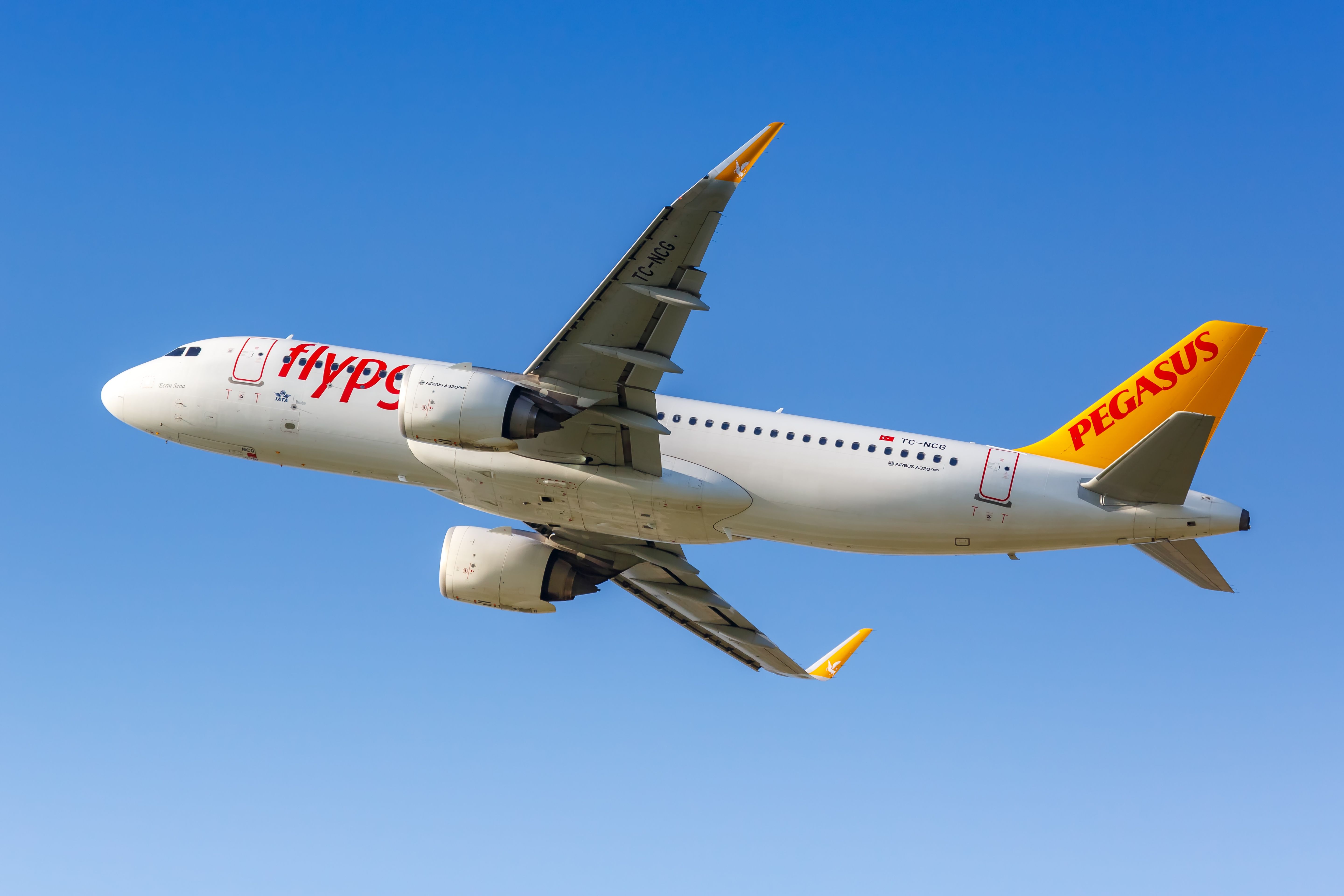 A Pegasus Airlines Airbus aircraft flying