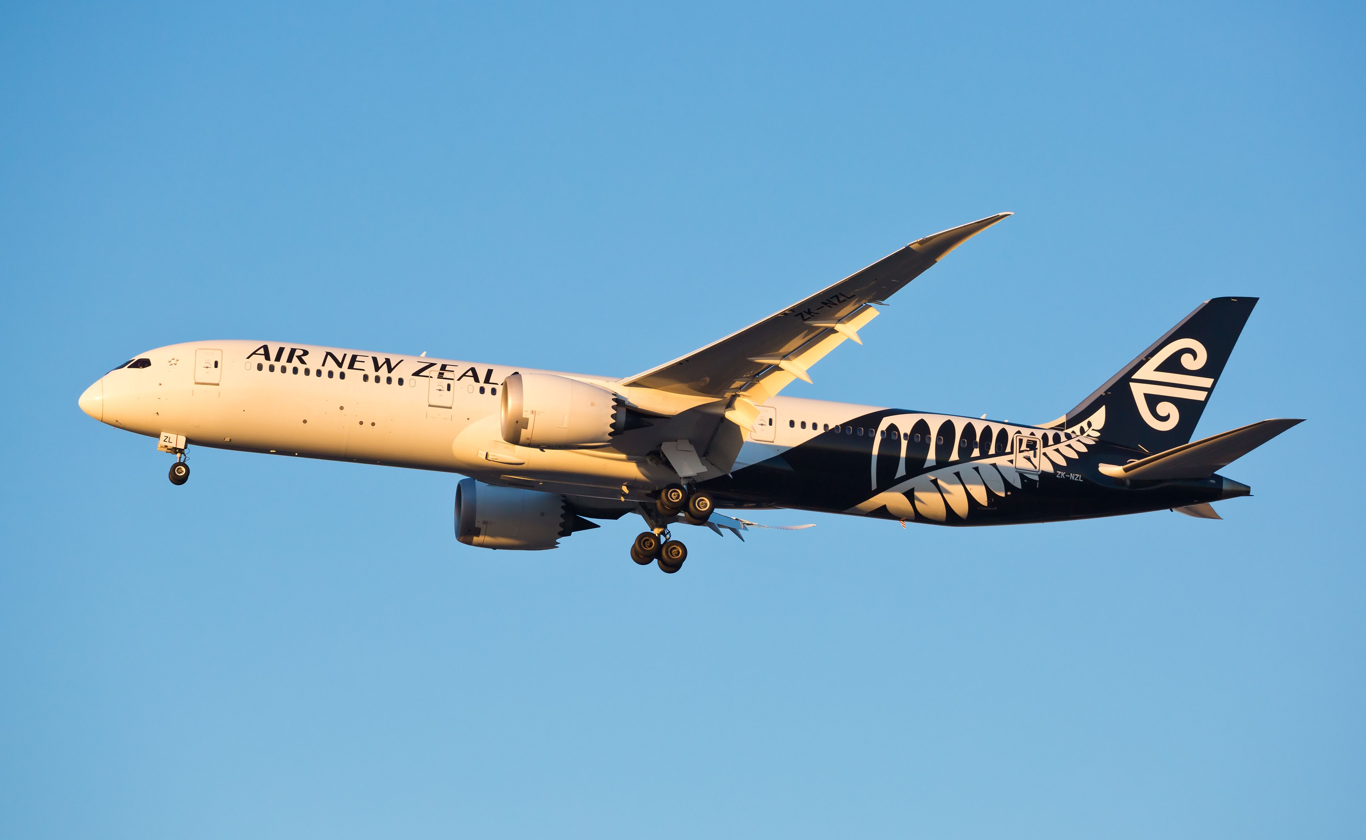 An Air New Zealand Boeing 787-9 Dreamliner Flying in the sky.